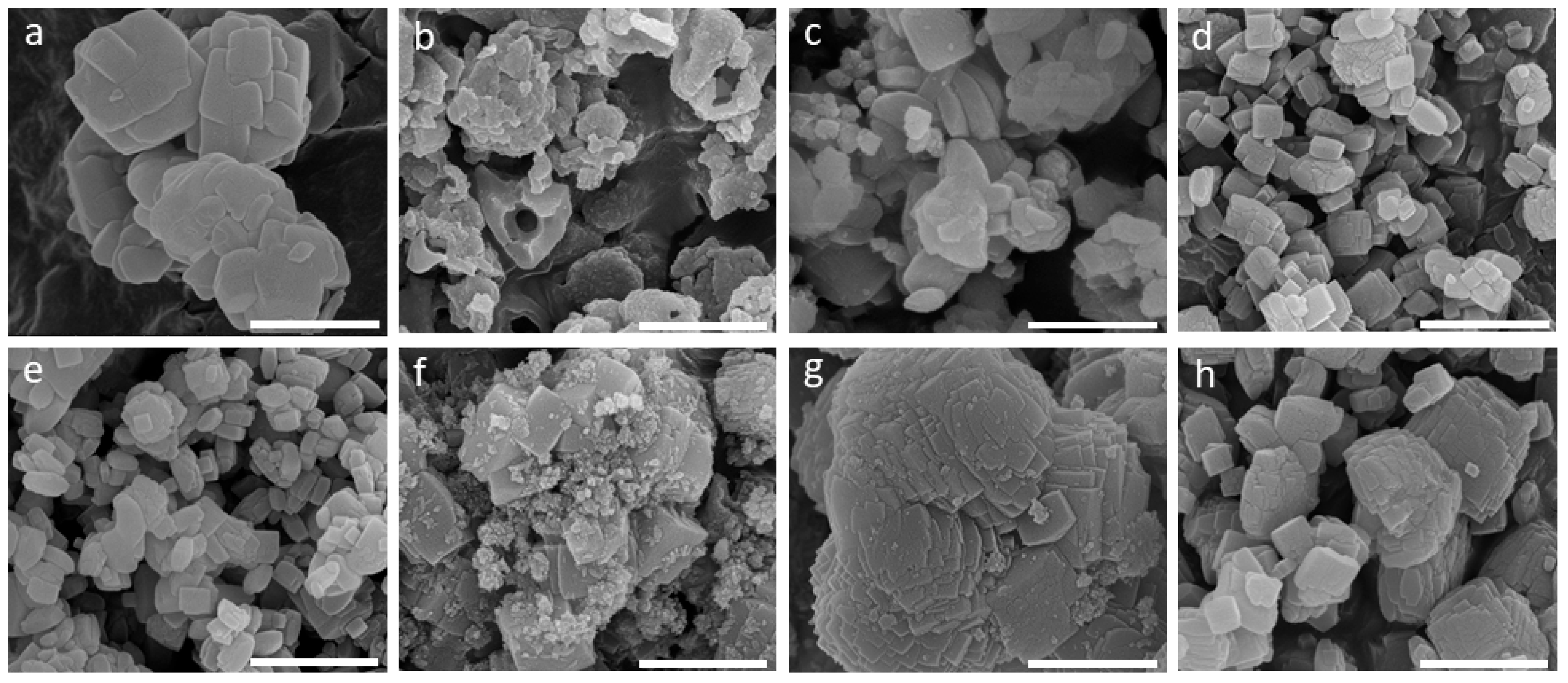 Molecules 29 01744 g005