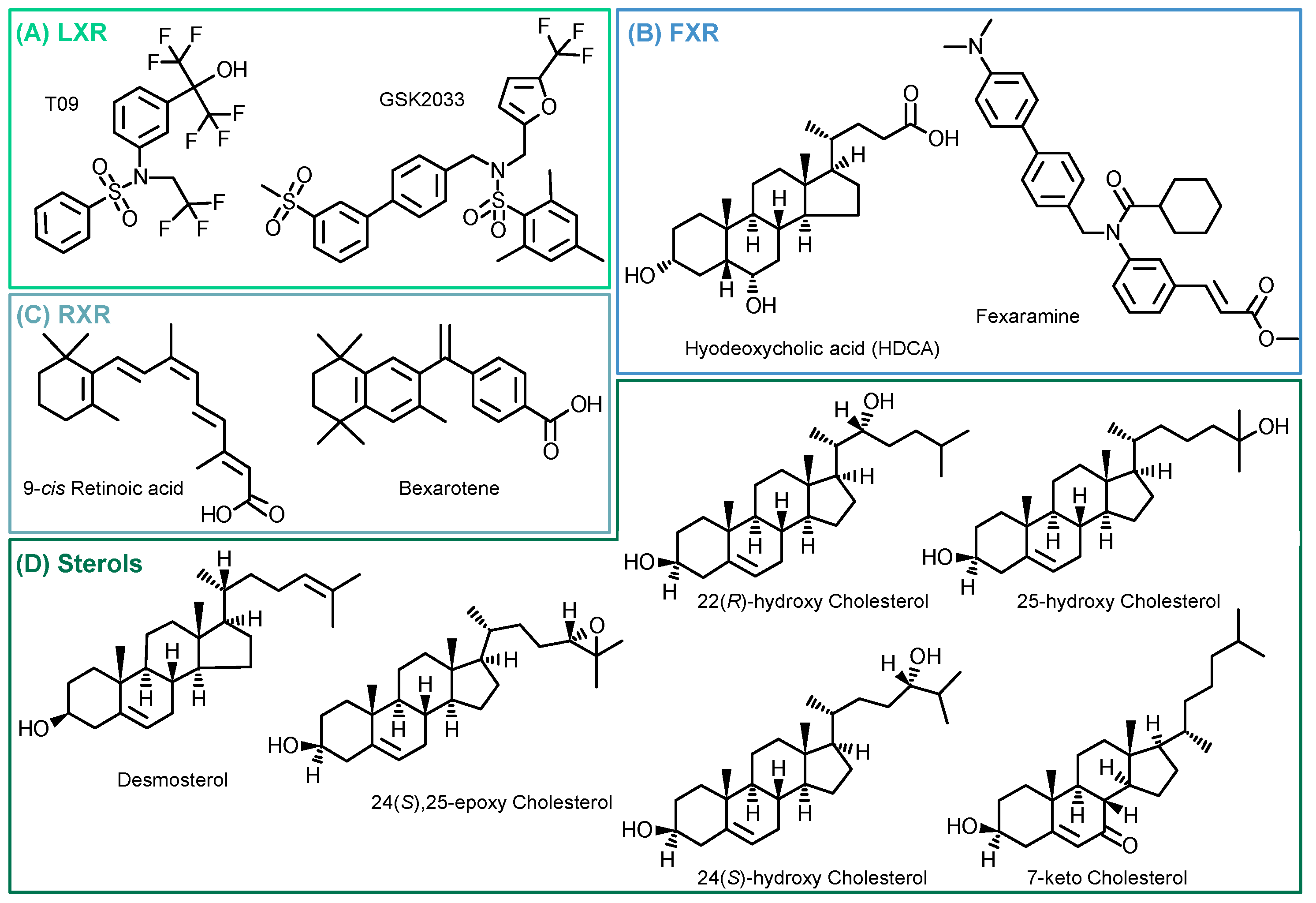 Molecules 29 01745 g004