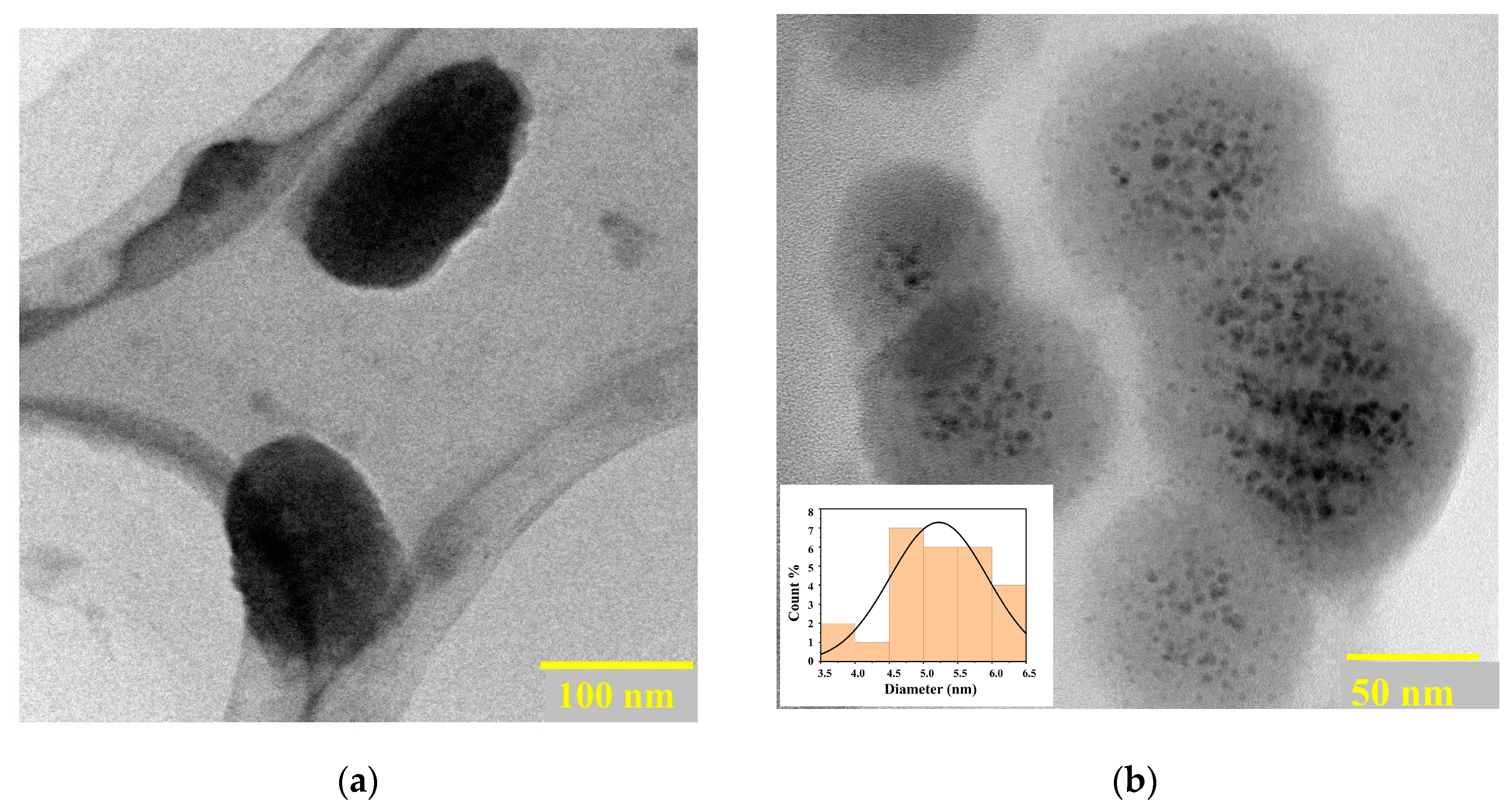 Molecules 29 01746 g001