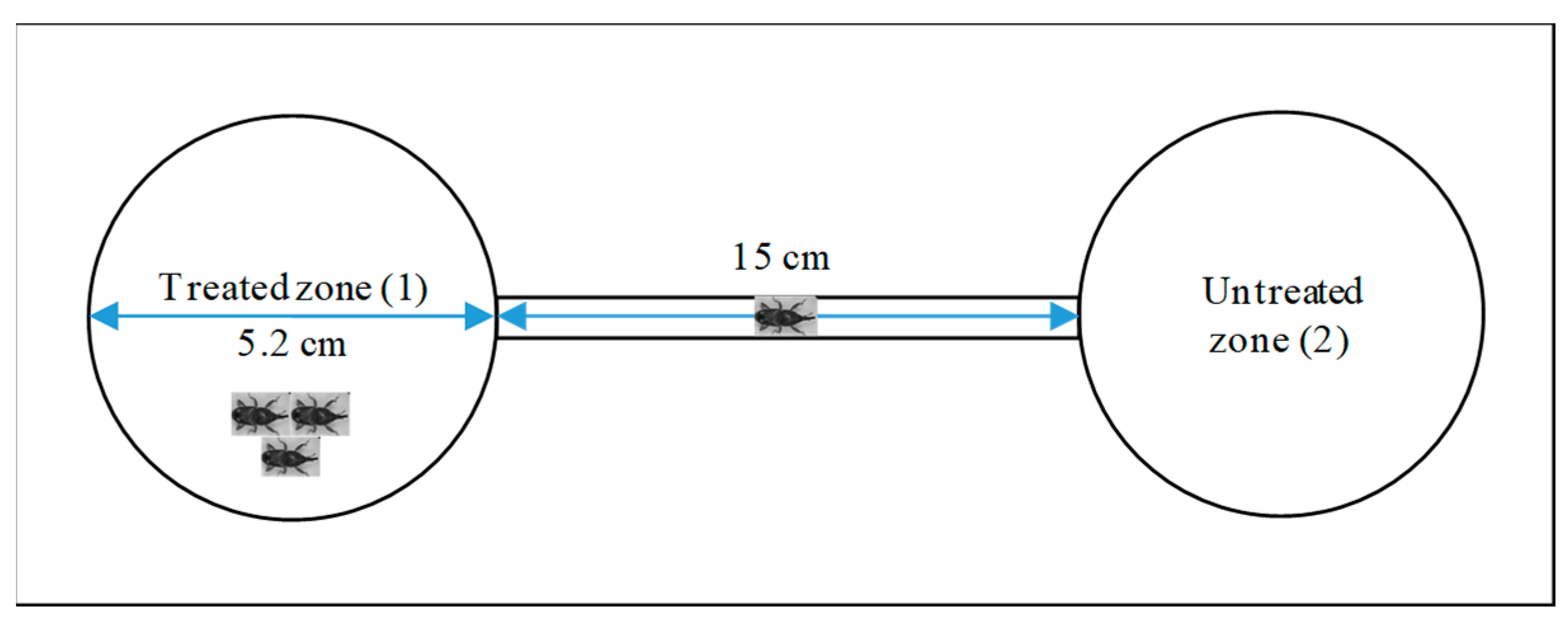 Molecules 29 01753 g007