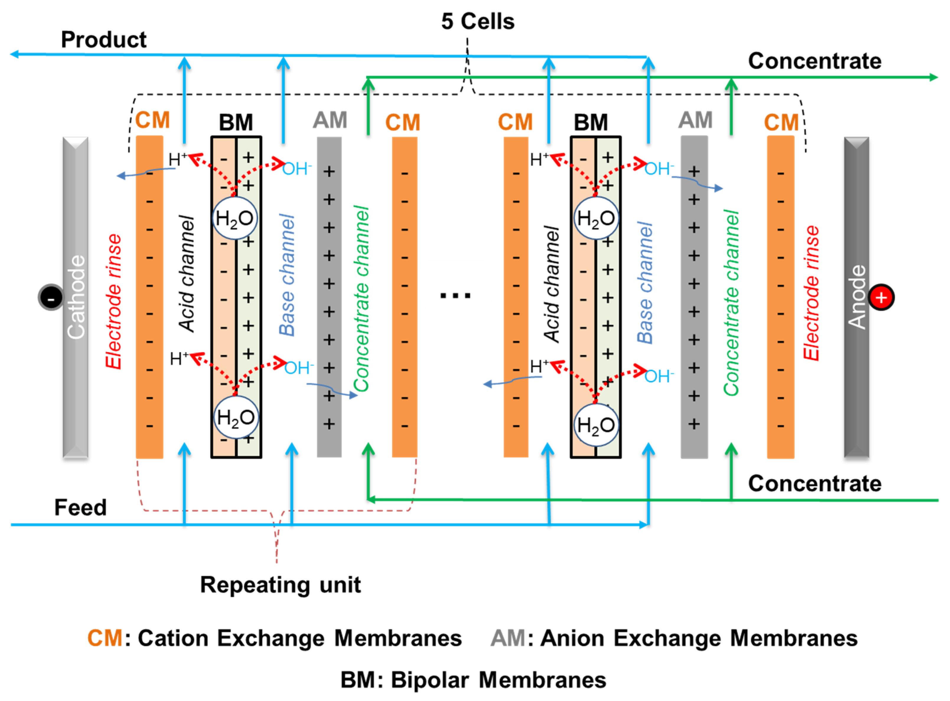 Molecules 29 01754 g006