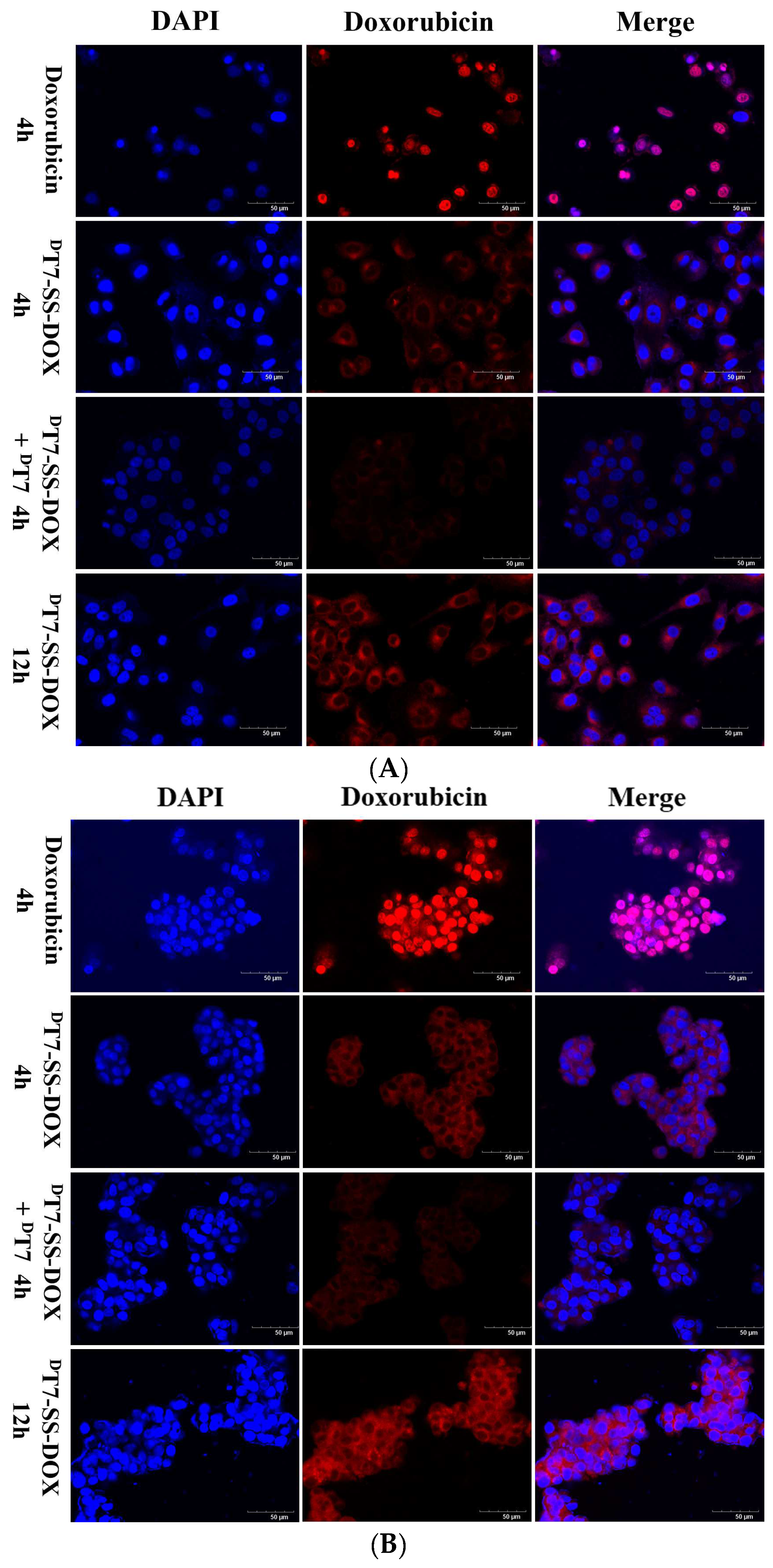 Molecules 29 01758 g003a