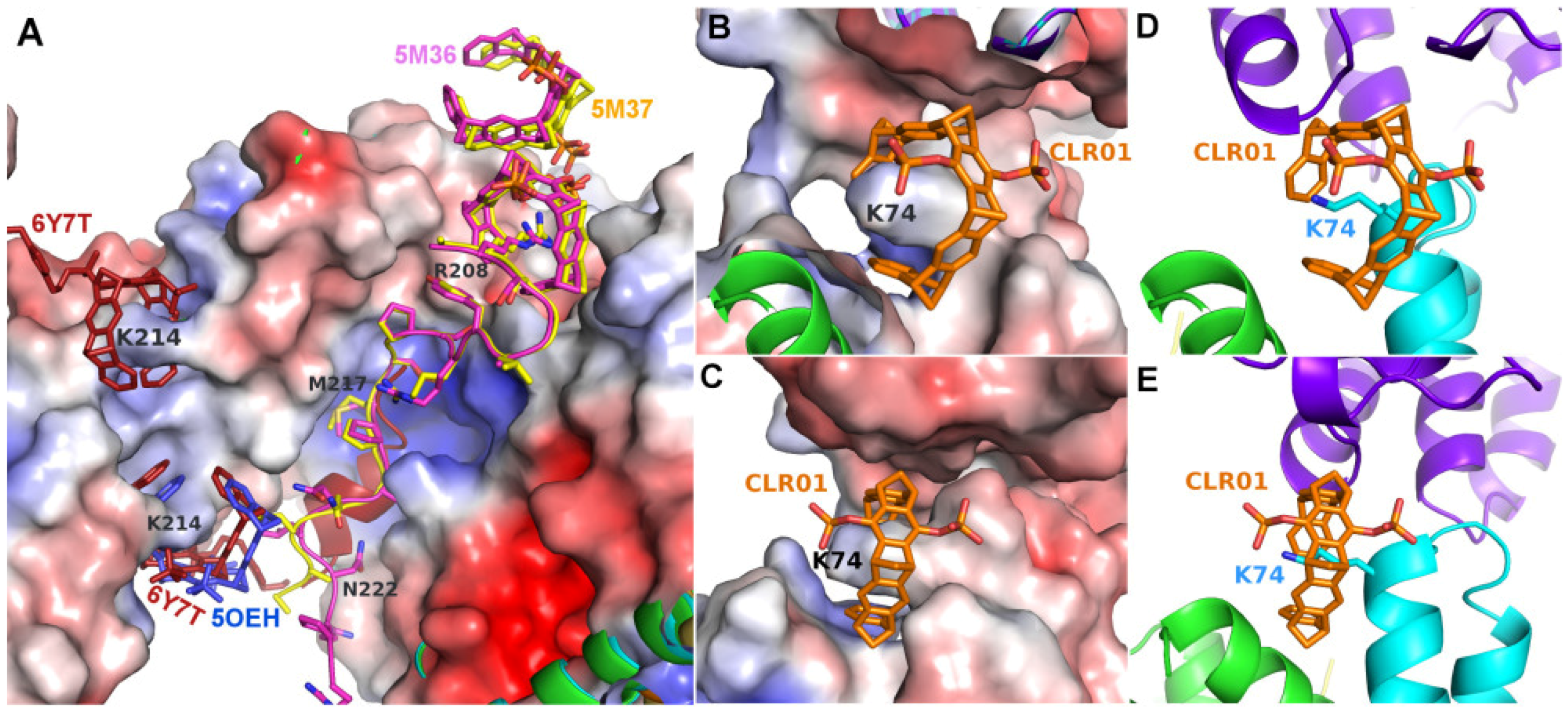 Molecules 29 01764 g003 Molecules 29 01764 g003