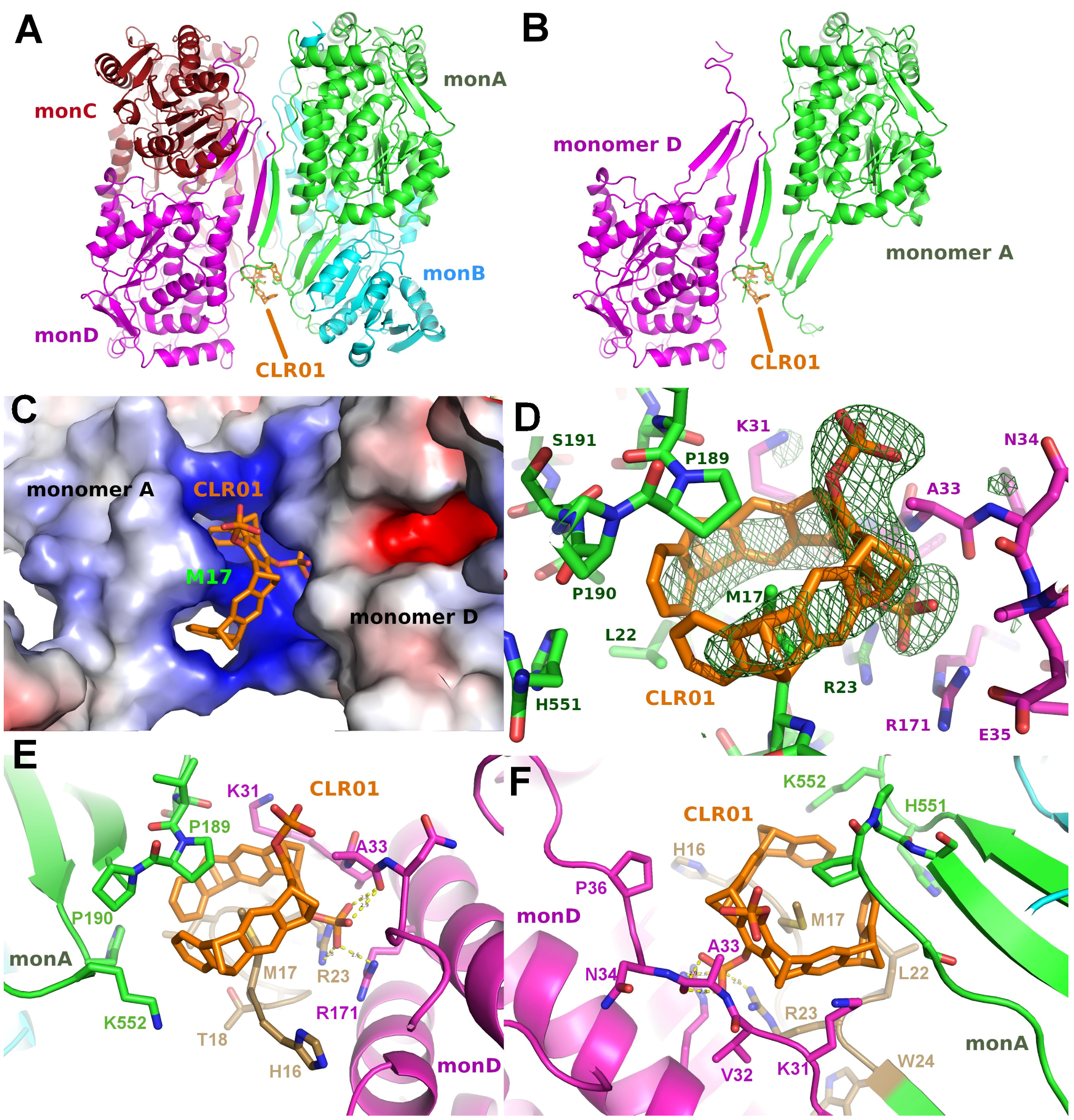 Molecules 29 01764 g005 Molecules 29 01764 g005