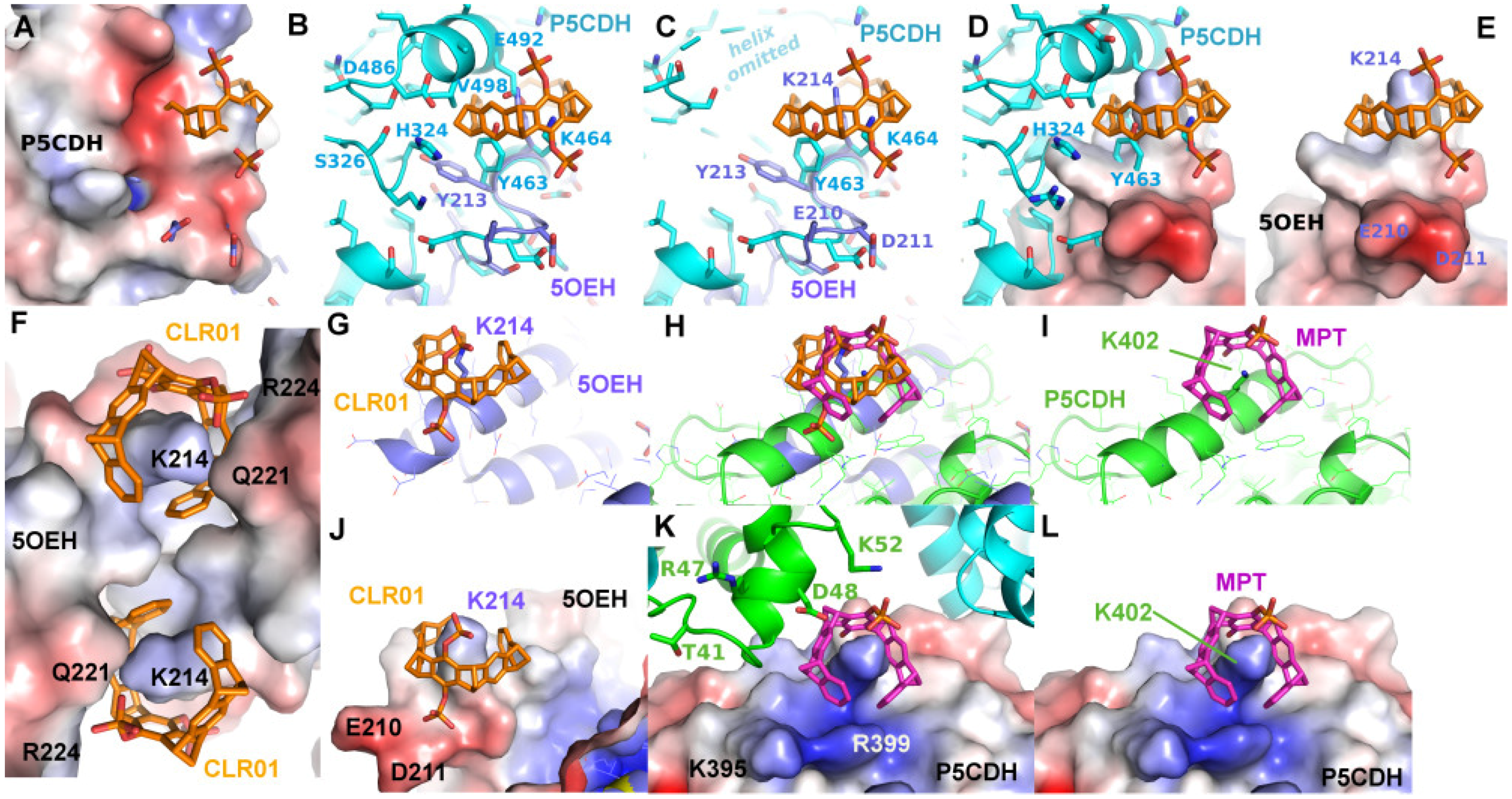 Molecules 29 01764 g007 Molecules 29 01764 g007