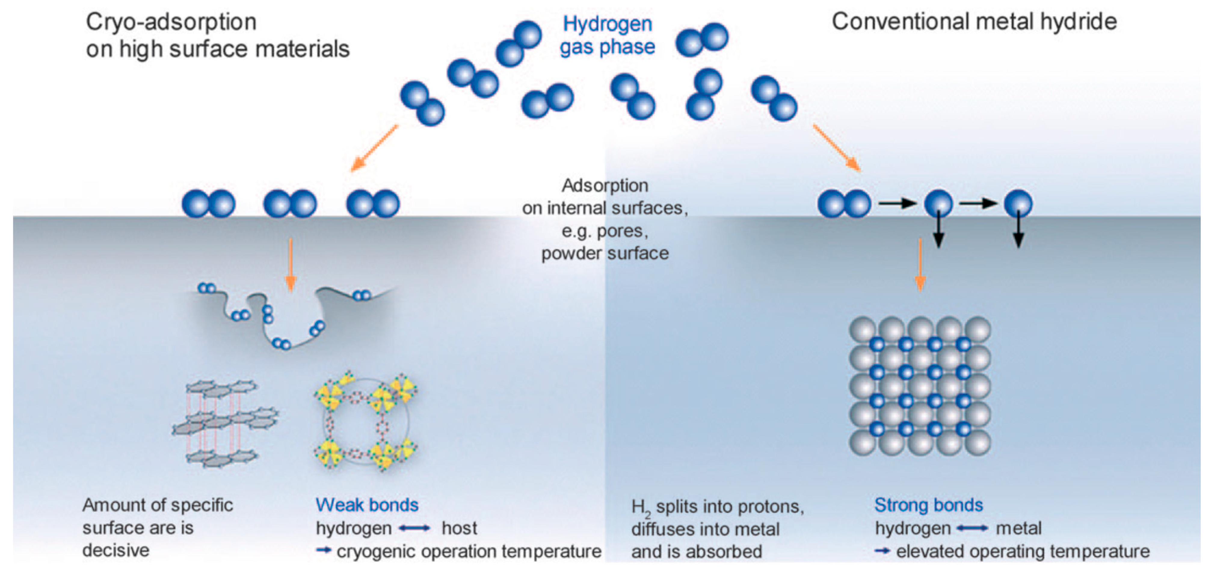Molecules 29 01767 g001