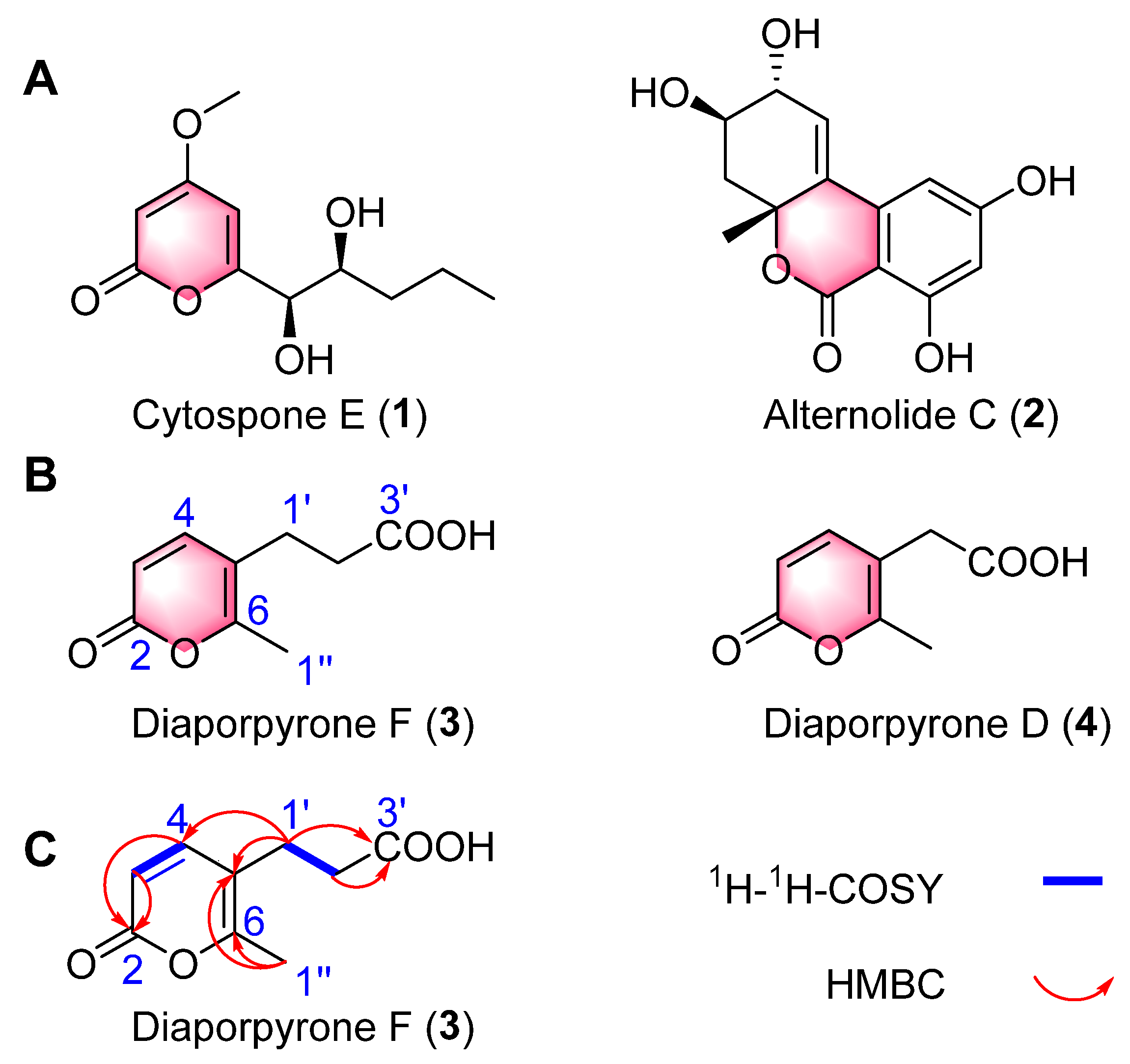 Molecules 29 01768 g001