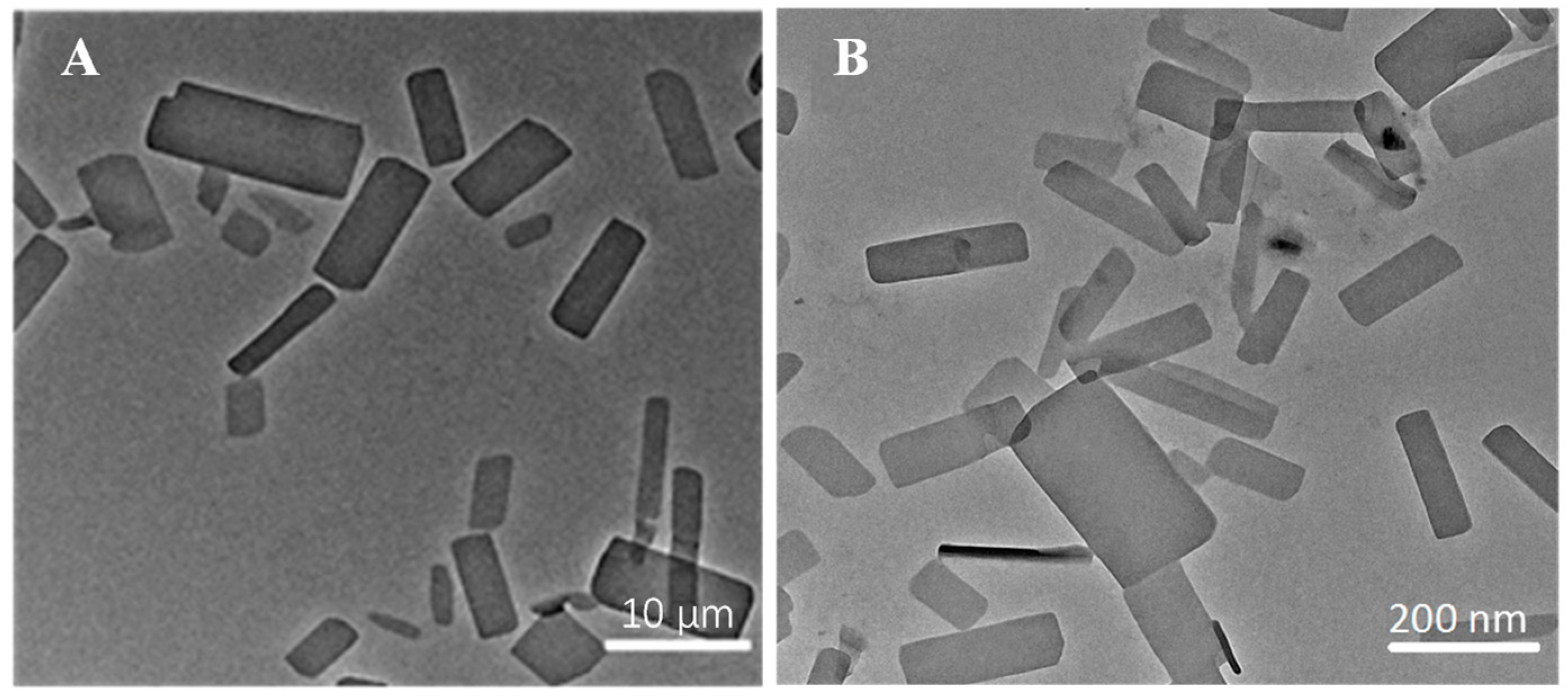 Molecules 29 01769 g001 Molecules 29 01769 g001