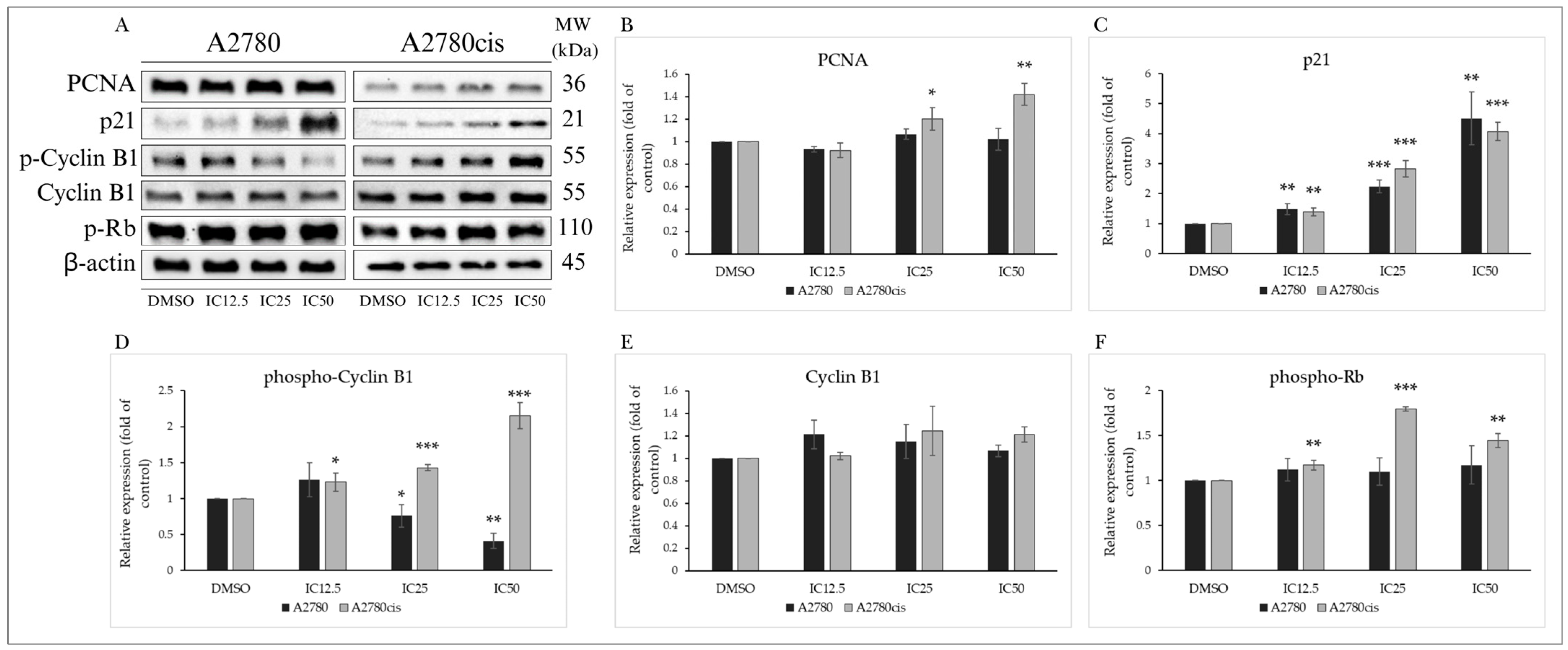 Molecules 29 01773 g003