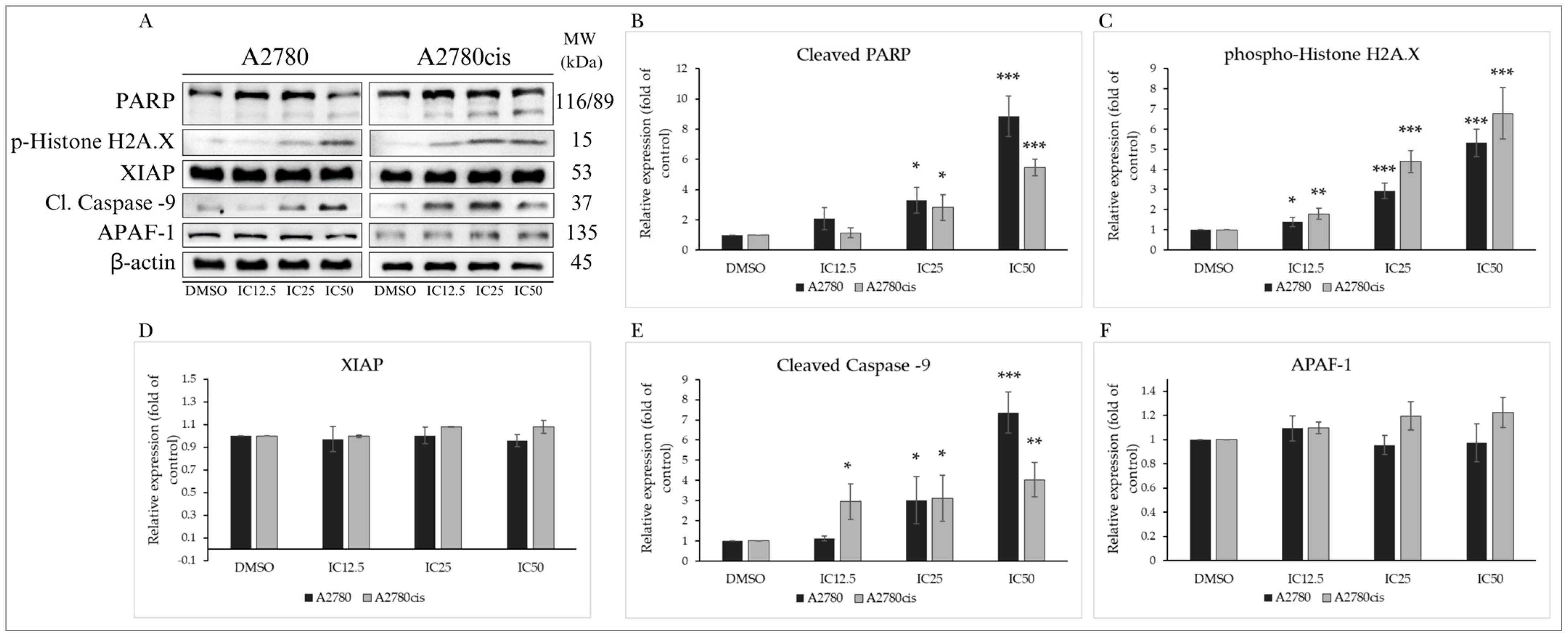 Molecules 29 01773 g005