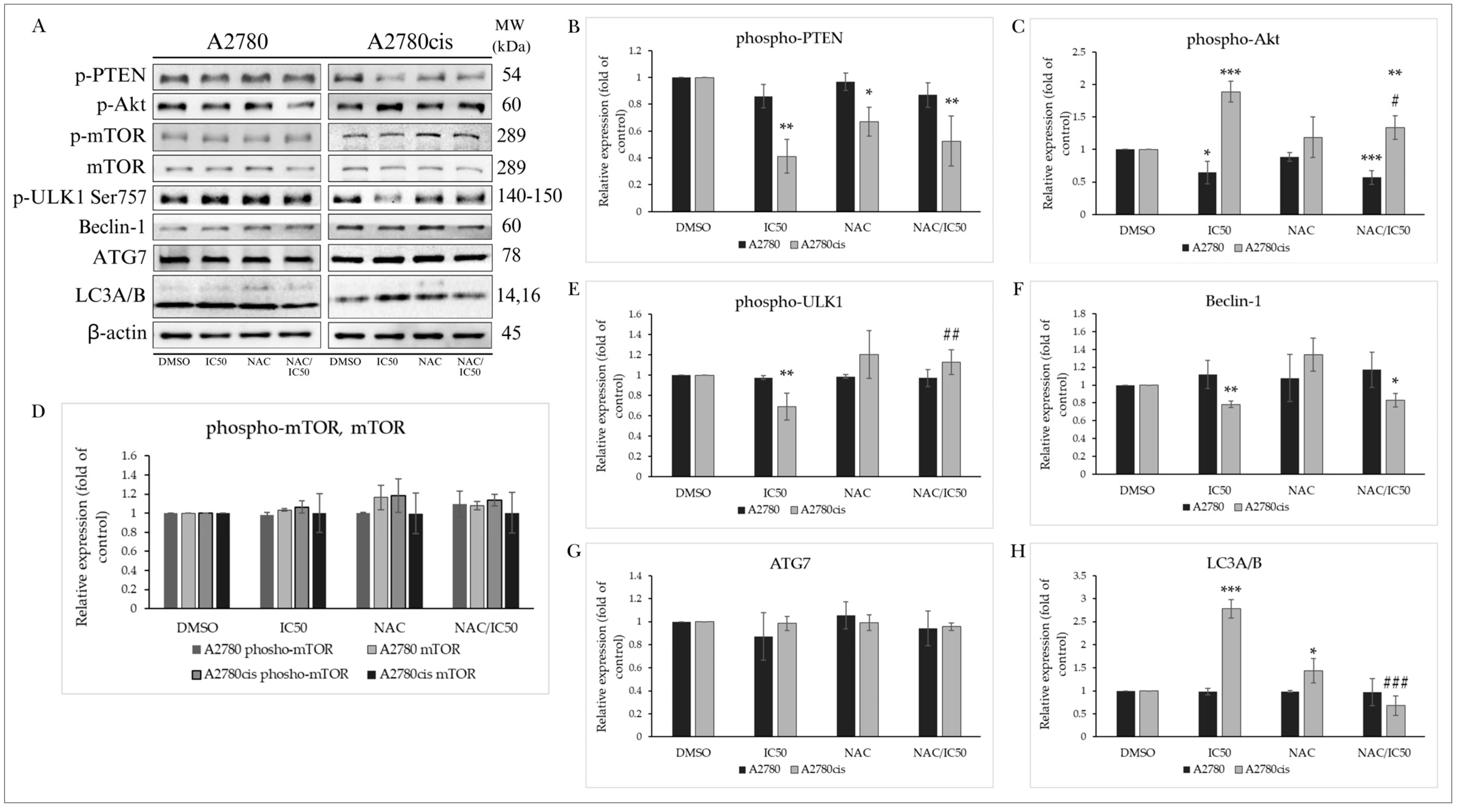 Molecules 29 01773 g013