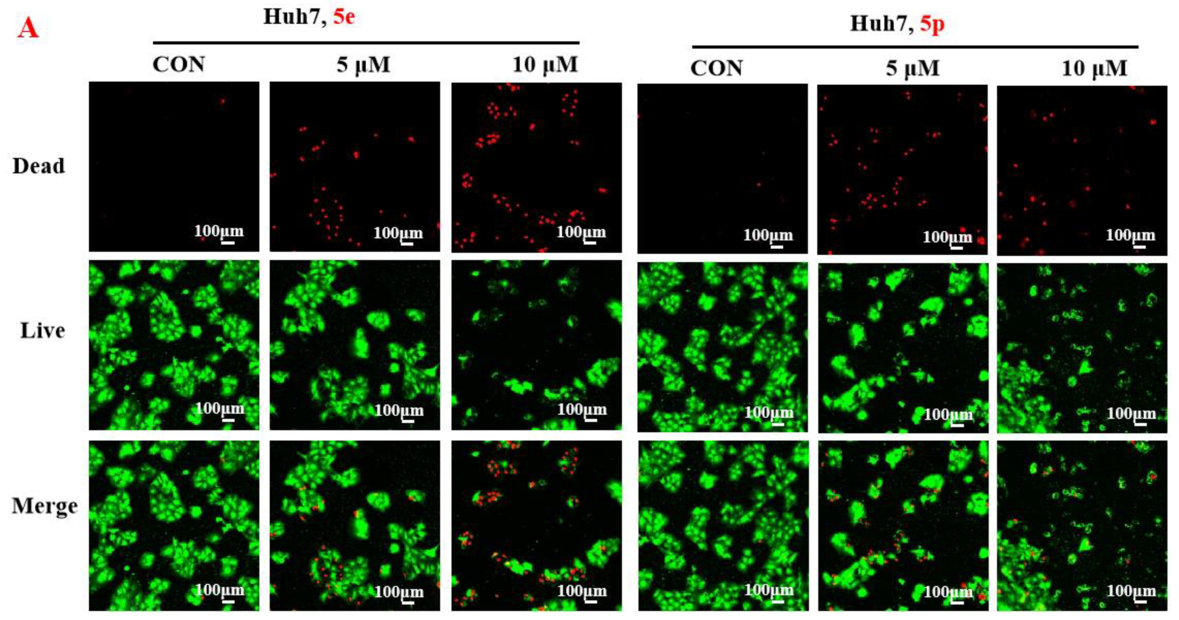 Molecules 29 01779 g003a