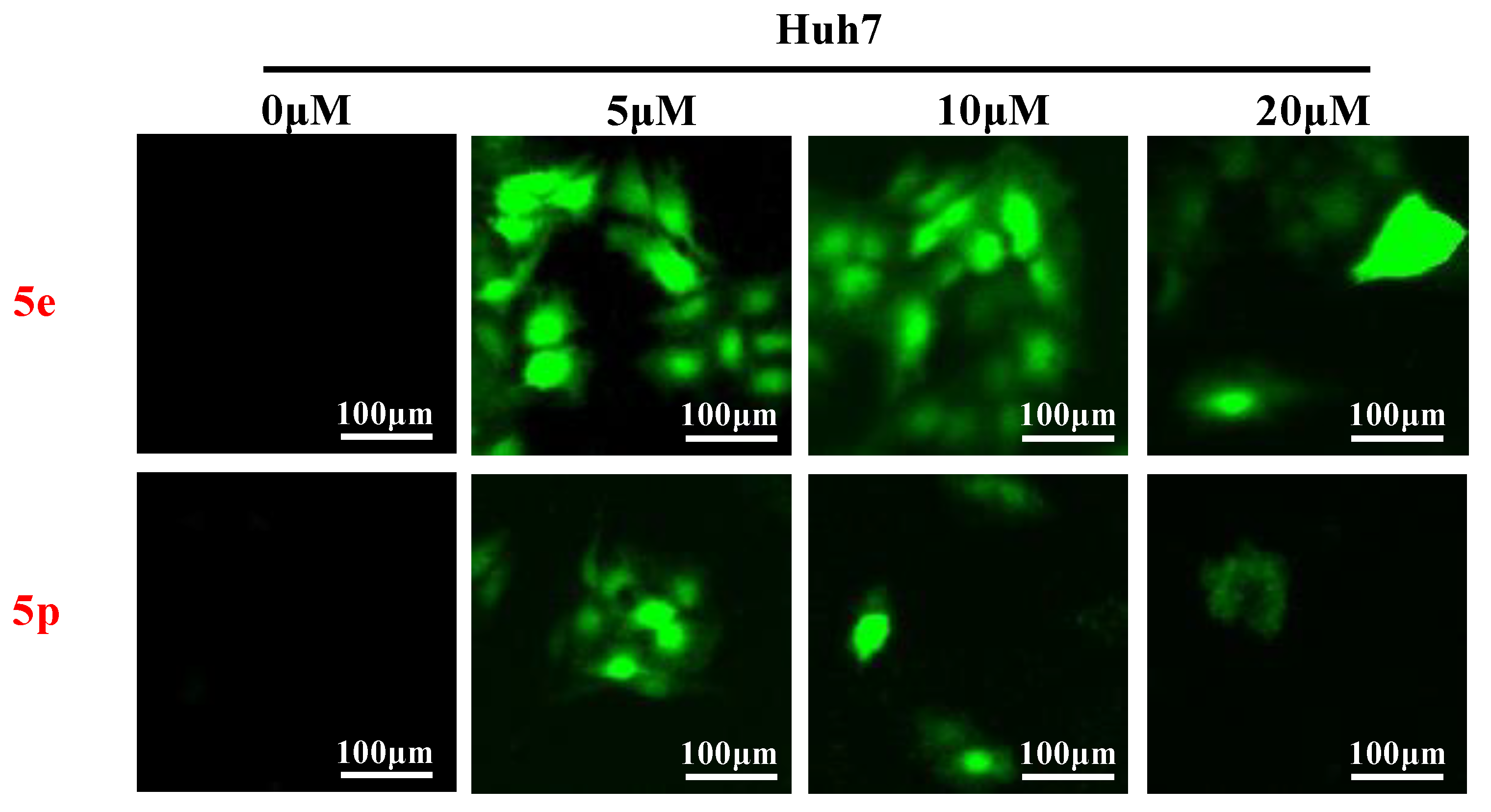 Molecules 29 01779 g006