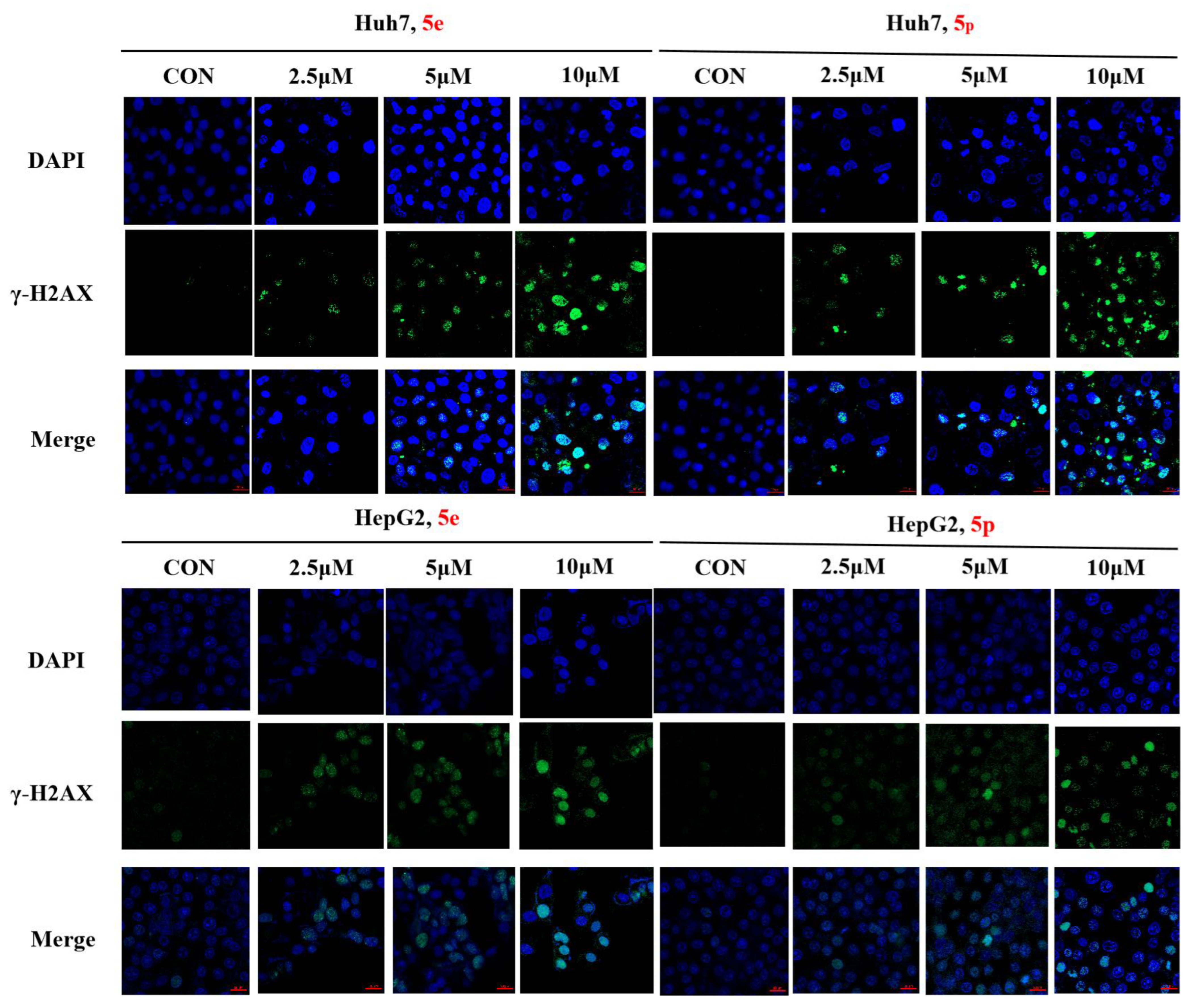 Molecules 29 01779 g008