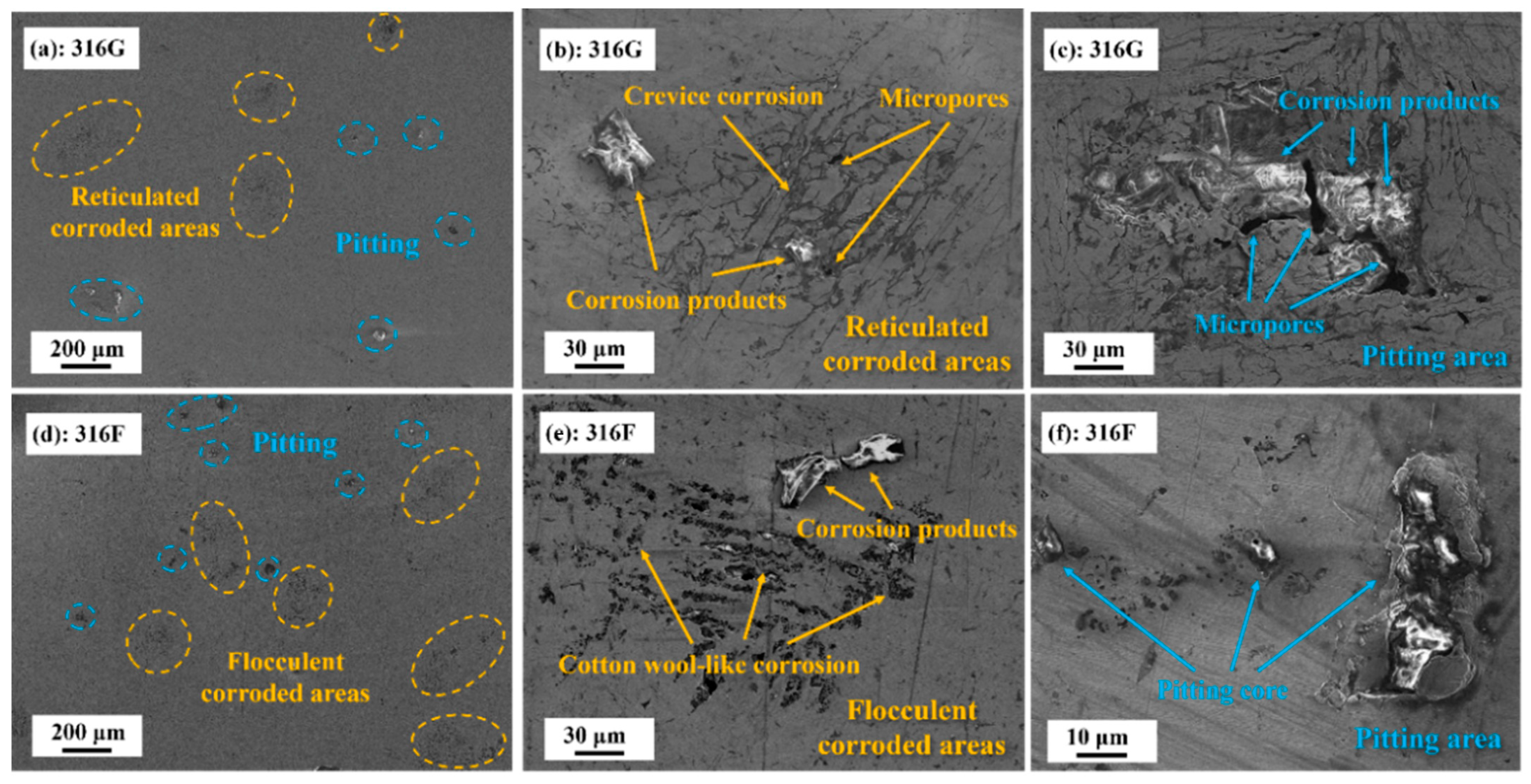 Molecules 29 01785 g007
