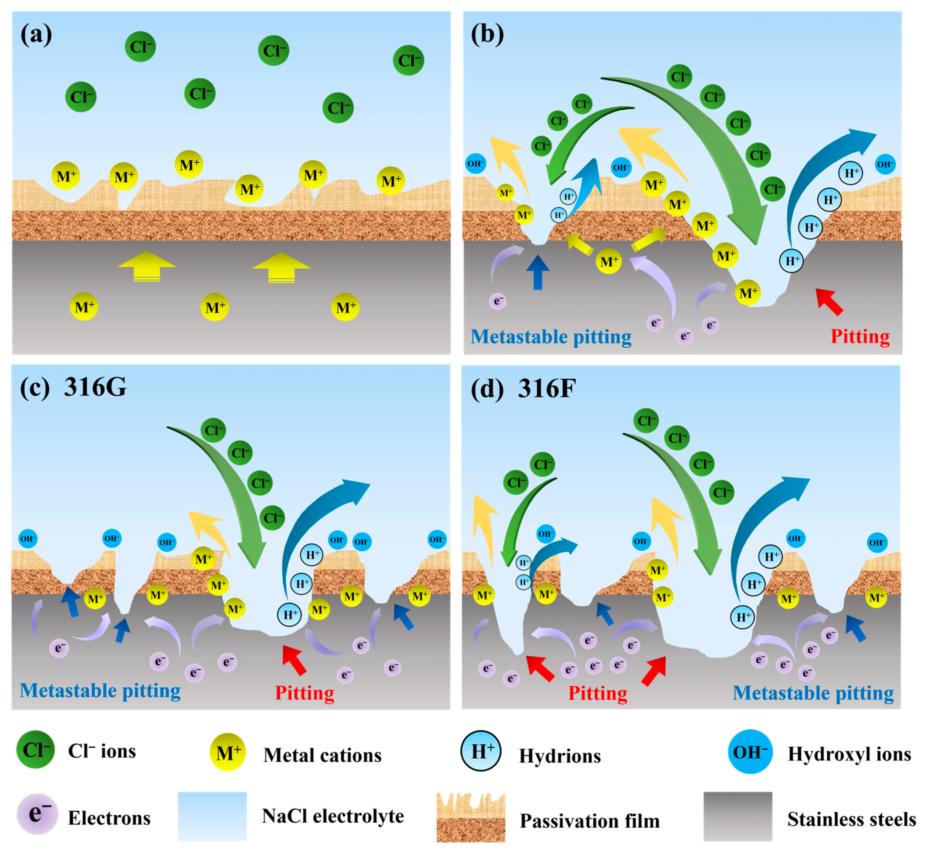 Molecules 29 01785 g008