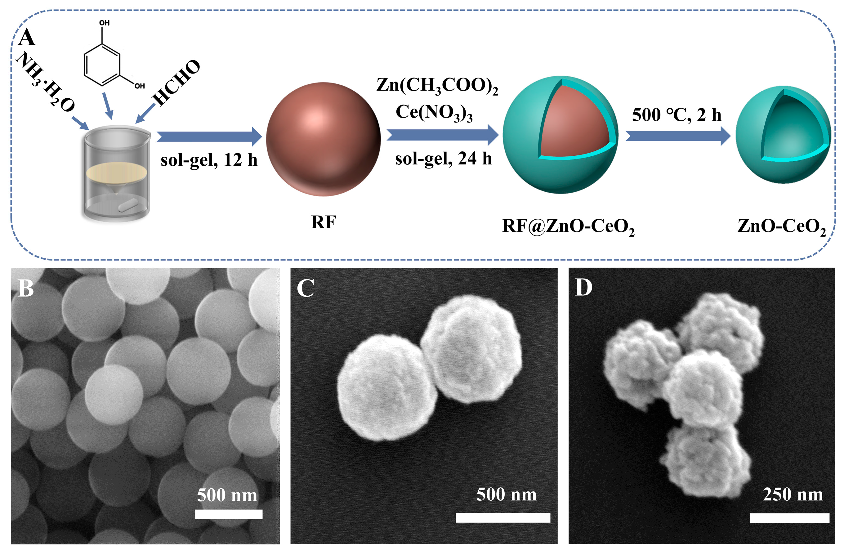 Molecules 29 01786 g001