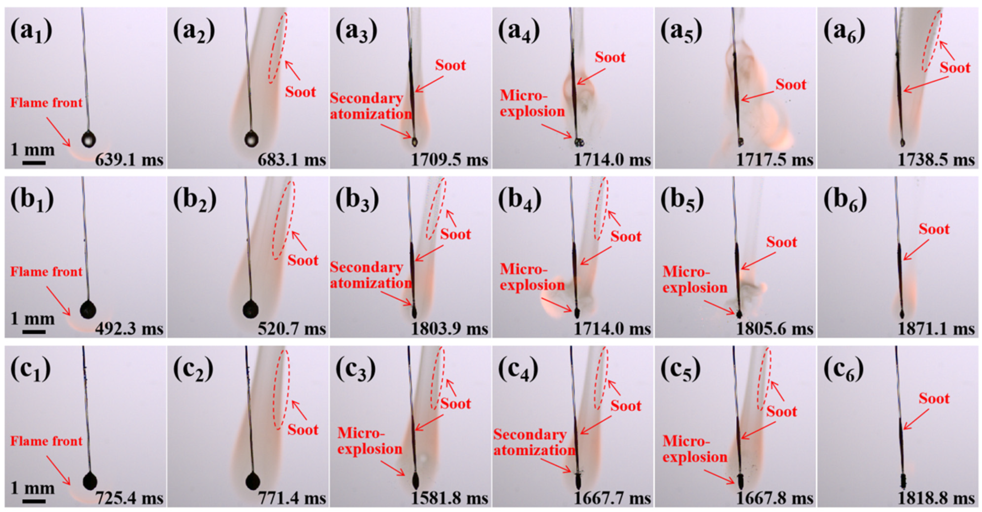 Molecules 29 01806 g003