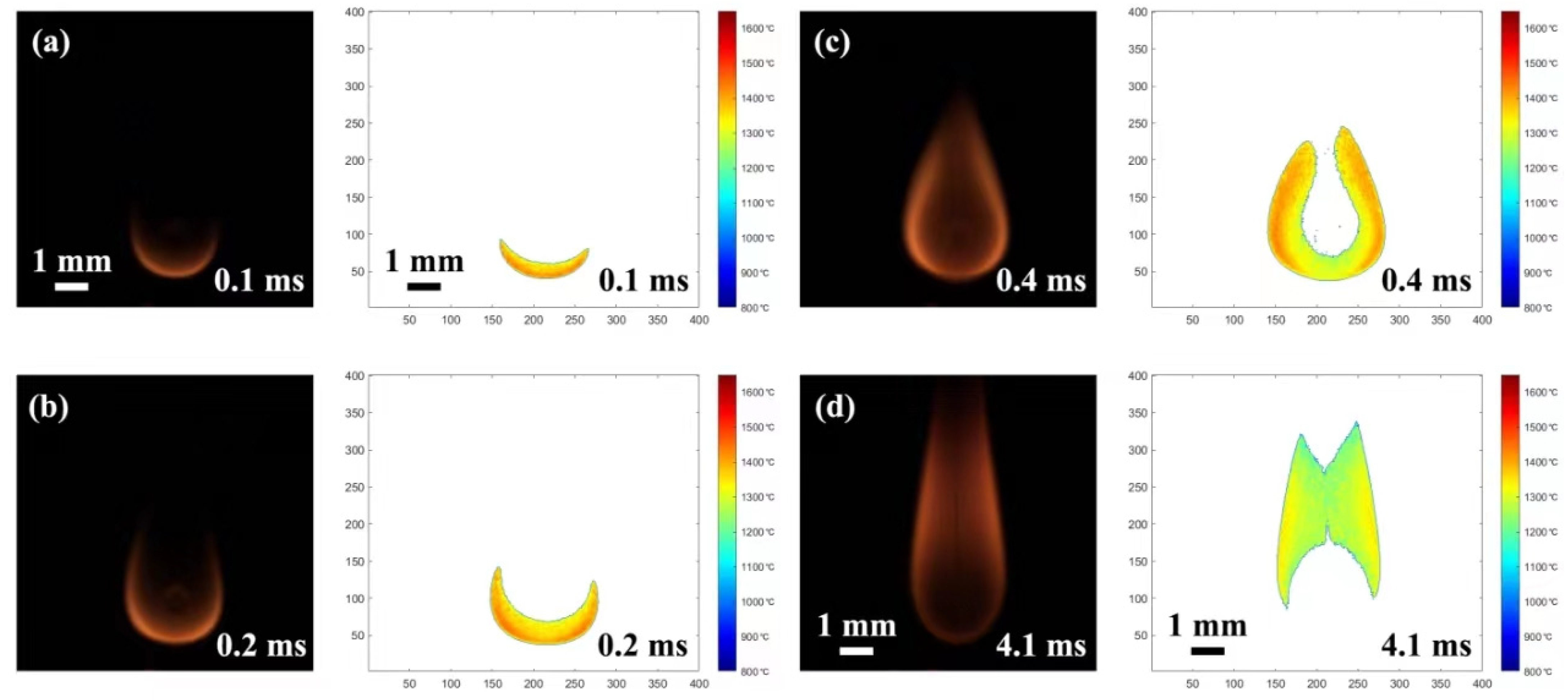 Molecules 29 01806 g006