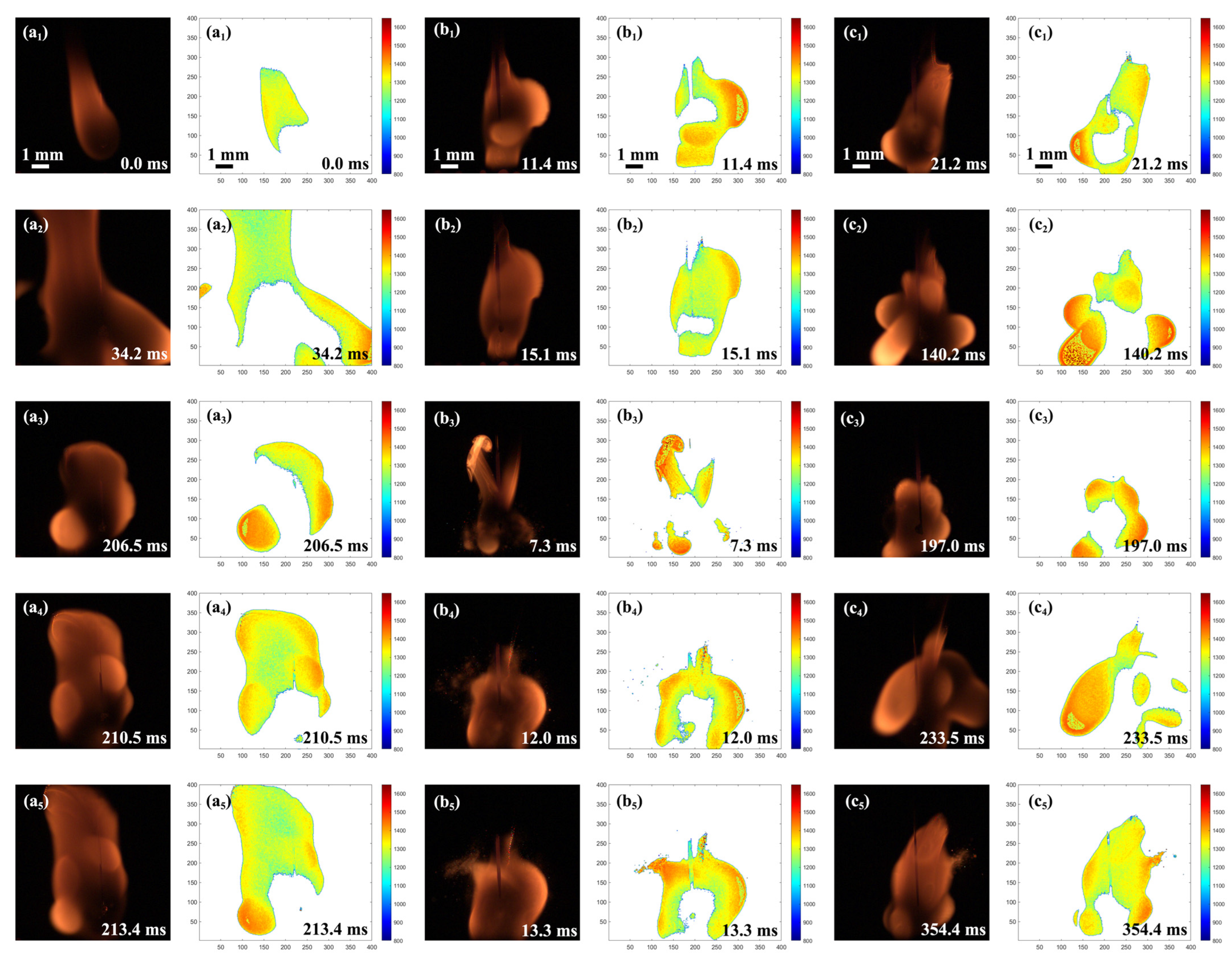 Molecules 29 01806 g009