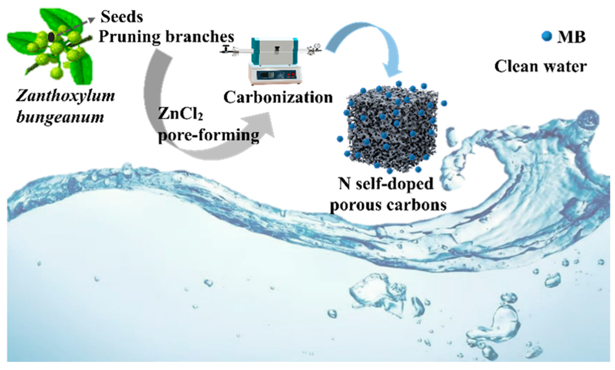 Molecules 29 01809 g001