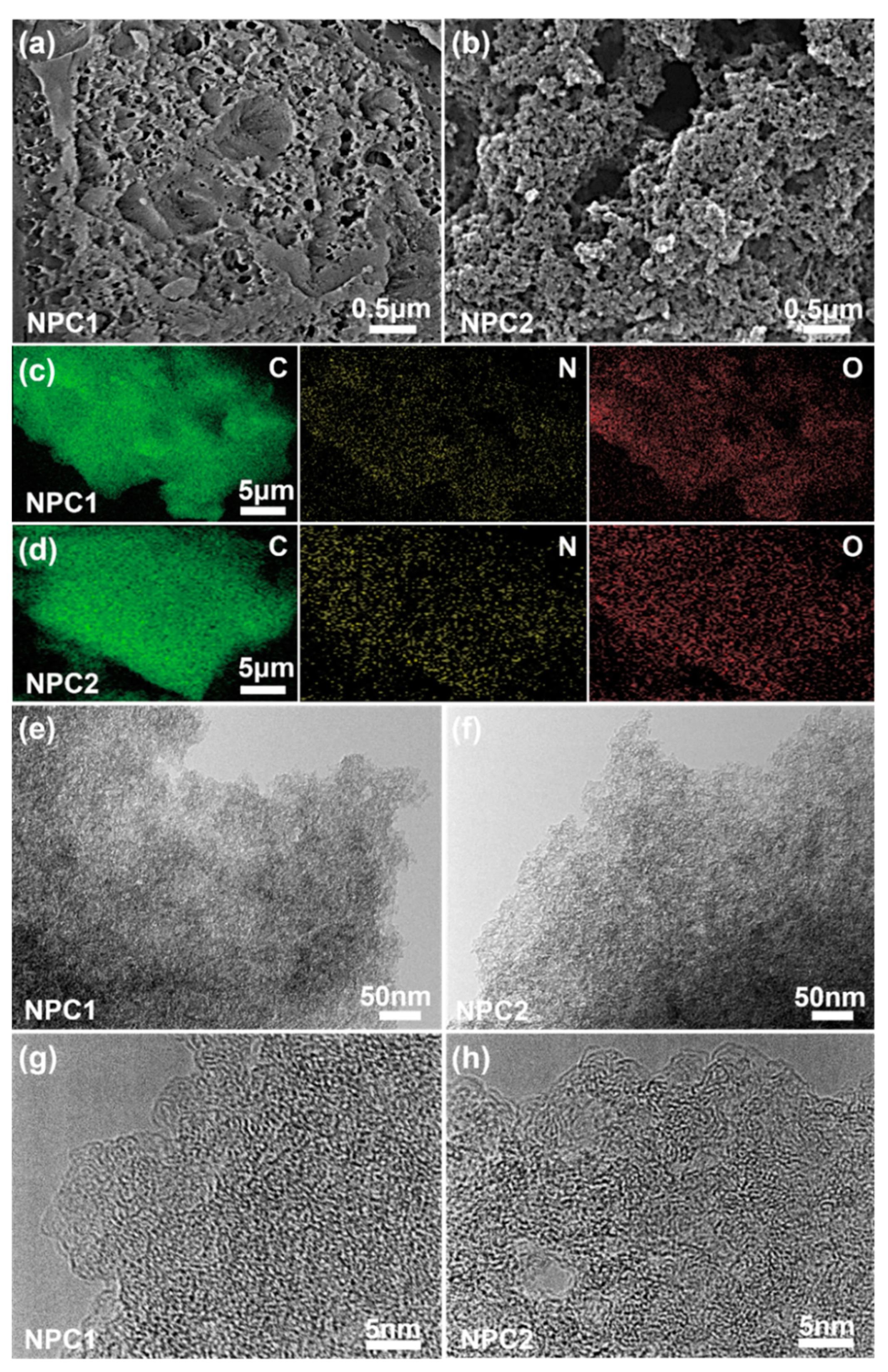 Molecules 29 01809 g002