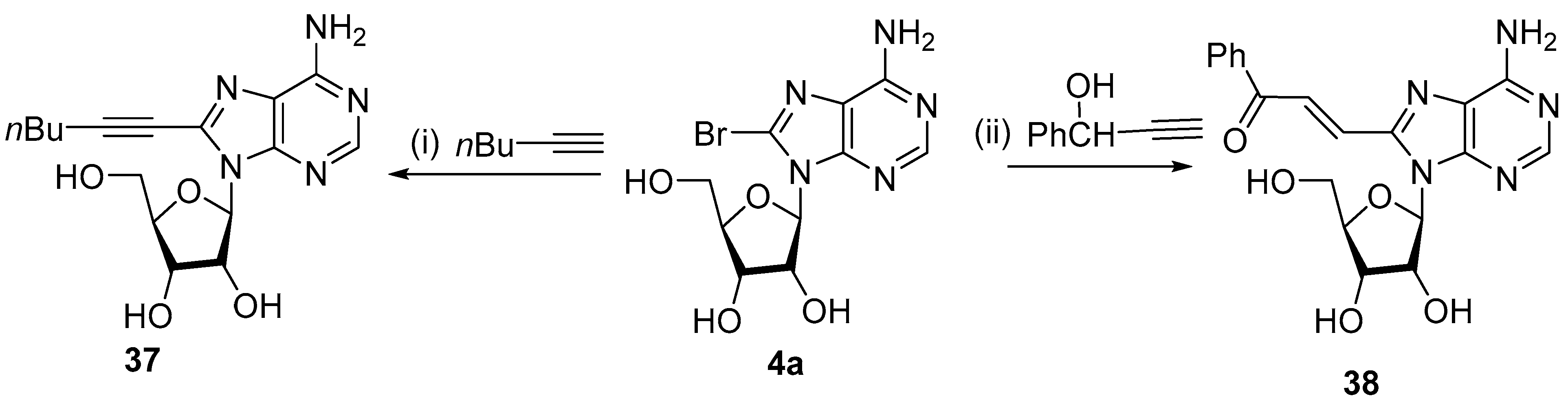 Molecules 29 01815 sch010 Molecules 29 01815 sch010