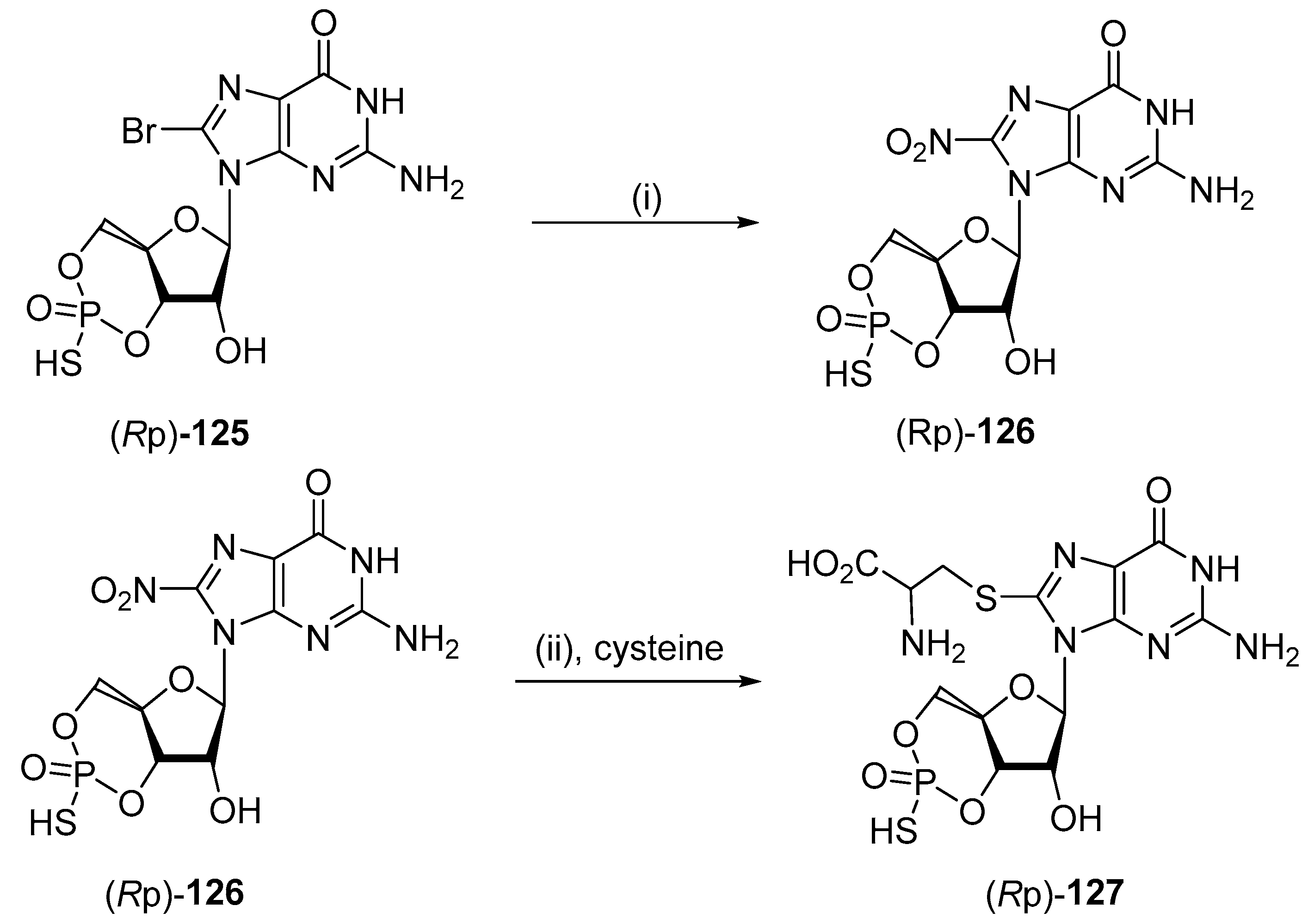 Molecules 29 01815 sch036 Molecules 29 01815 sch036