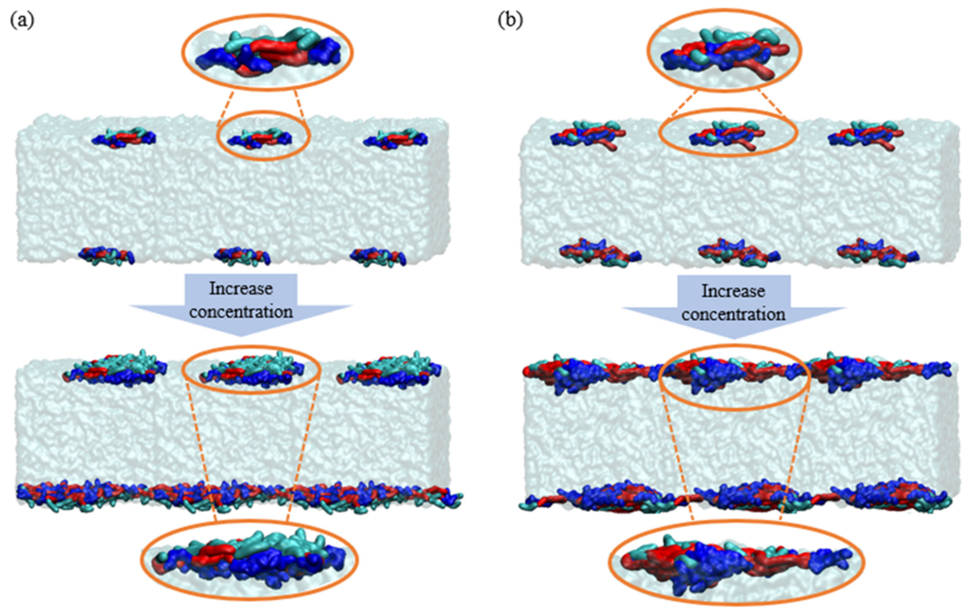 Molecules 29 01816 g008