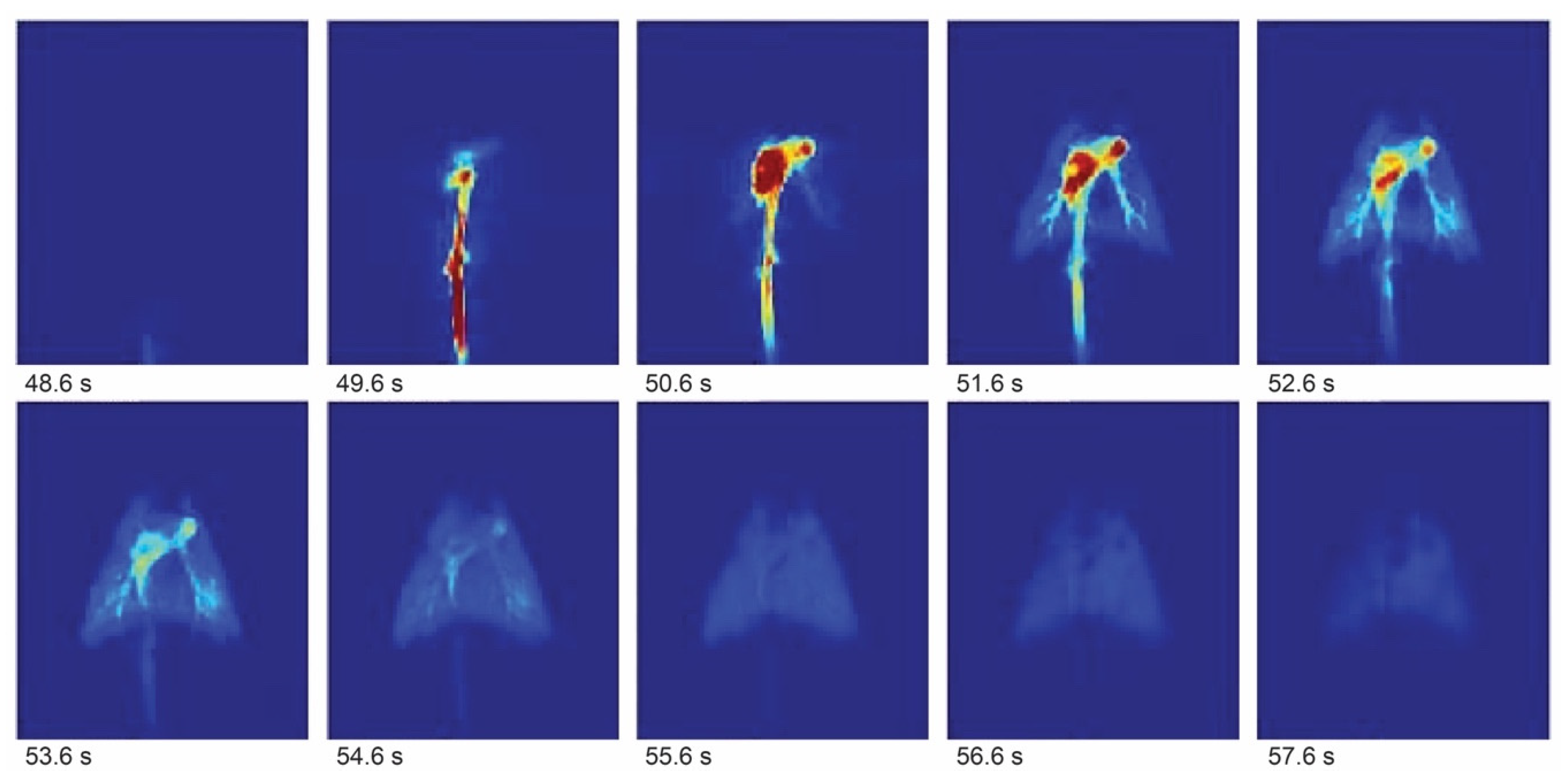 Molecules 29 01821 g002