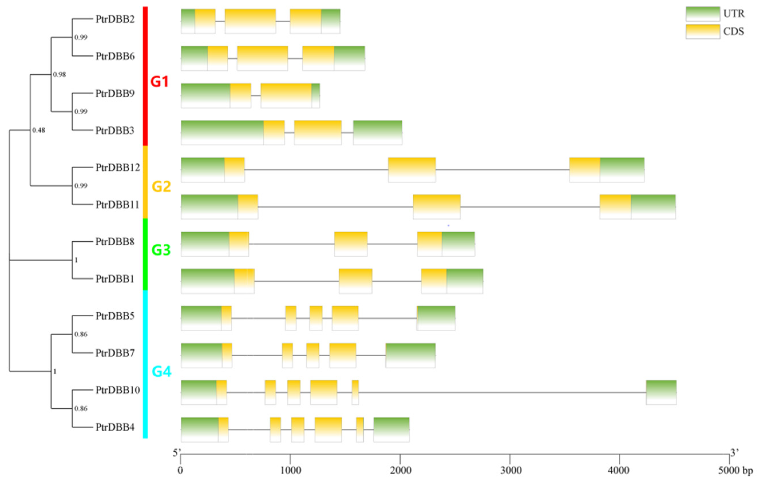 Molecules 29 01823 g003