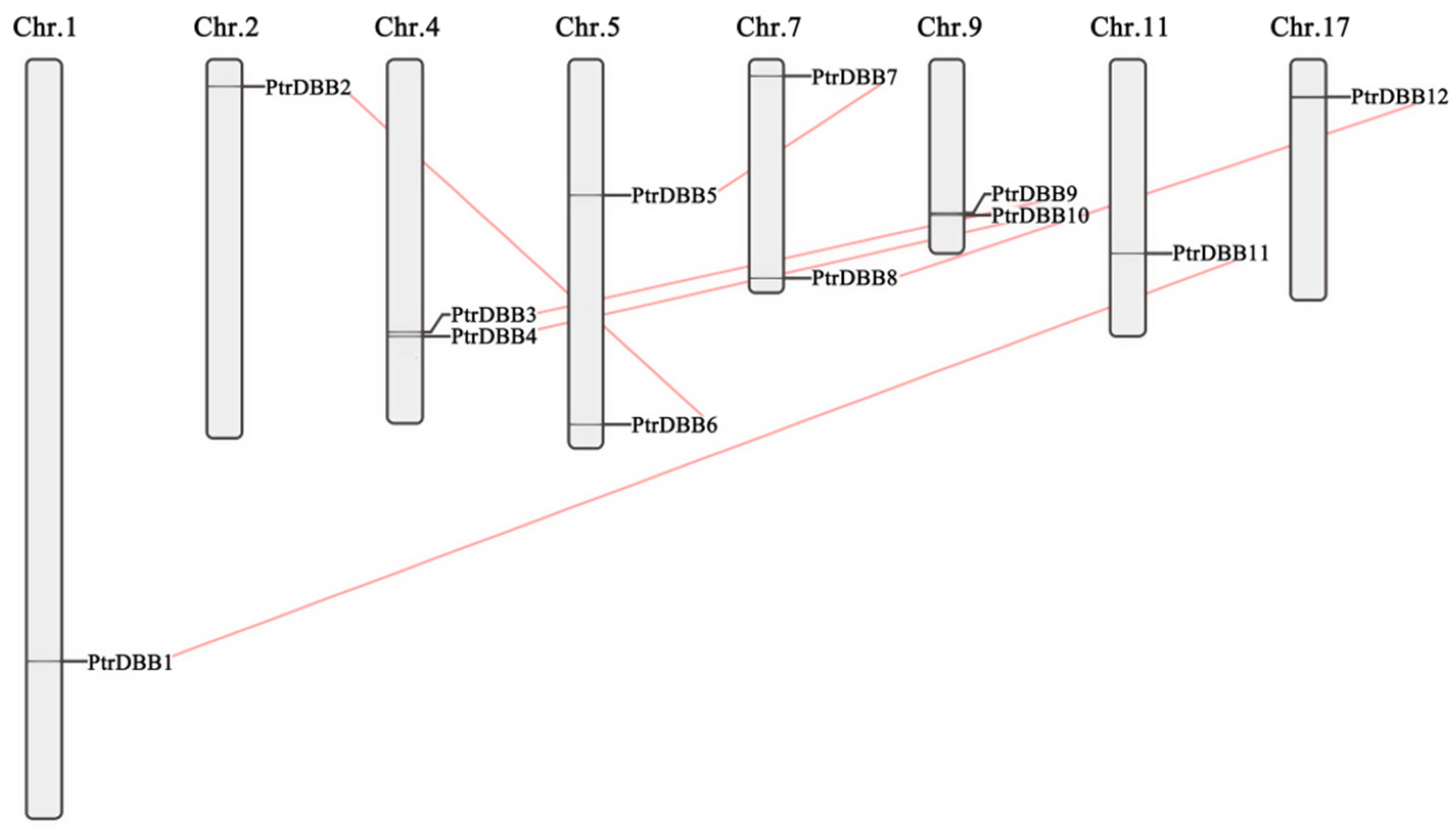 Molecules 29 01823 g006
