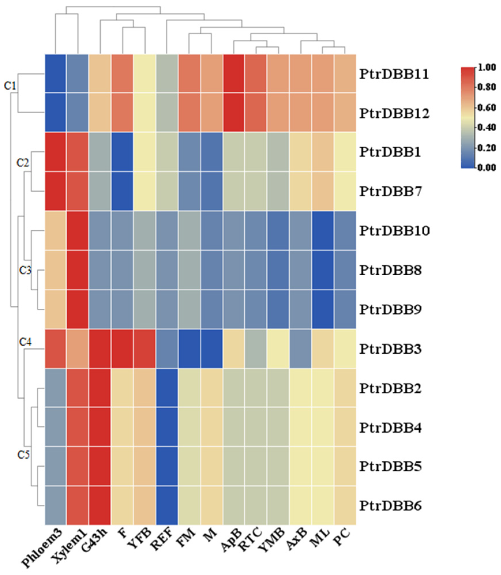 Molecules 29 01823 g009