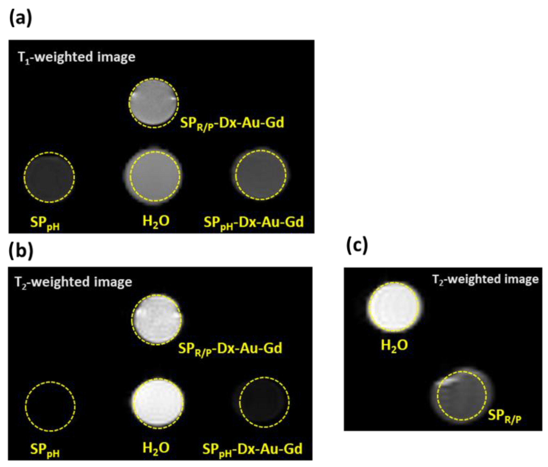 Molecules 29 01824 g011