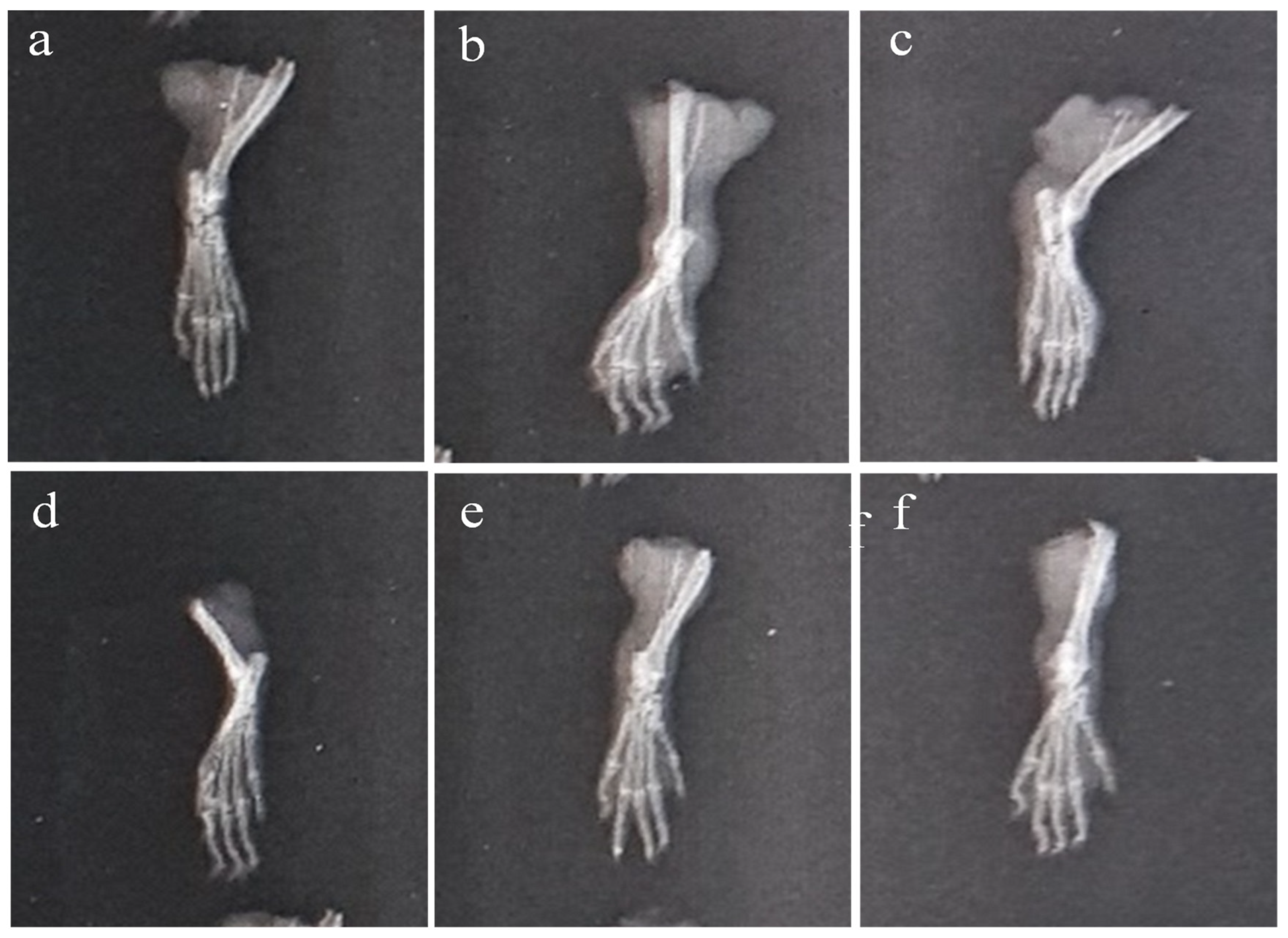 Molecules 29 01830 g011