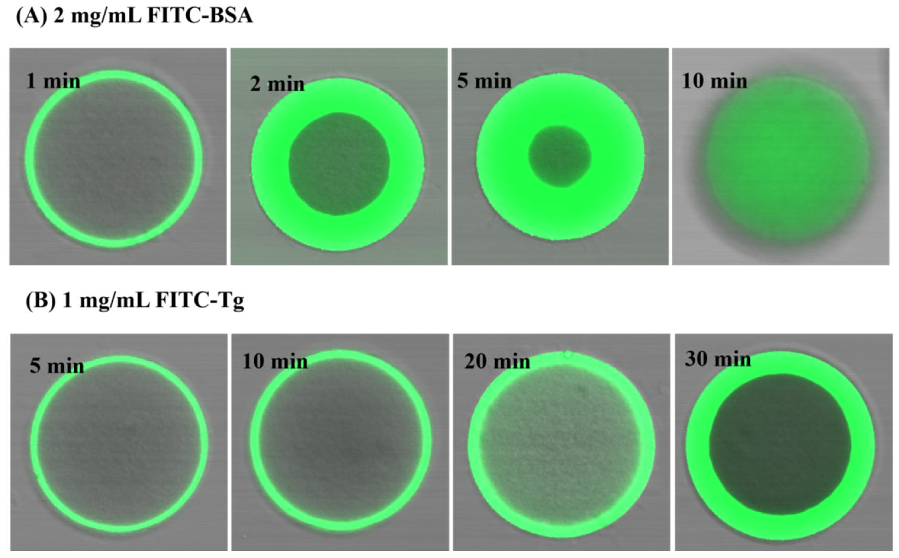 Molecules 29 01831 g006 Molecules 29 01831 g006
