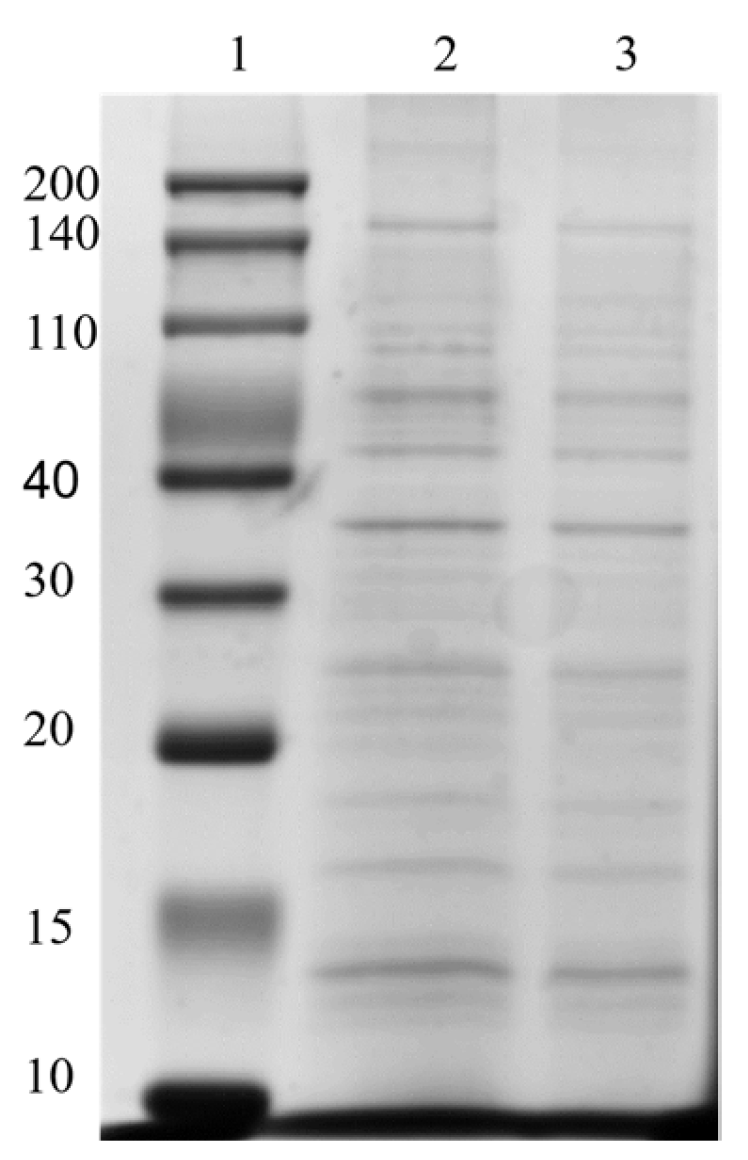 Molecules 29 01831 g009 Molecules 29 01831 g009
