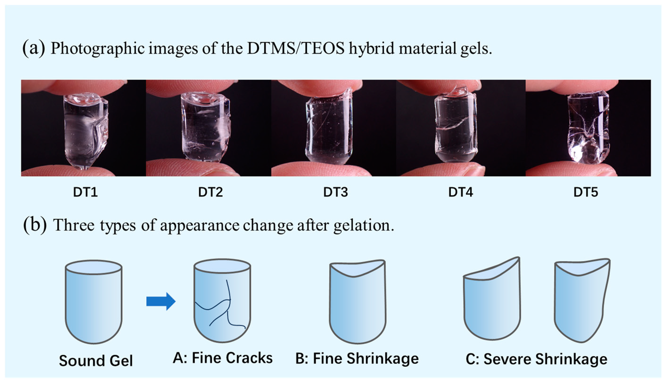 Molecules 29 01834 g001 Molecules 29 01834 g001