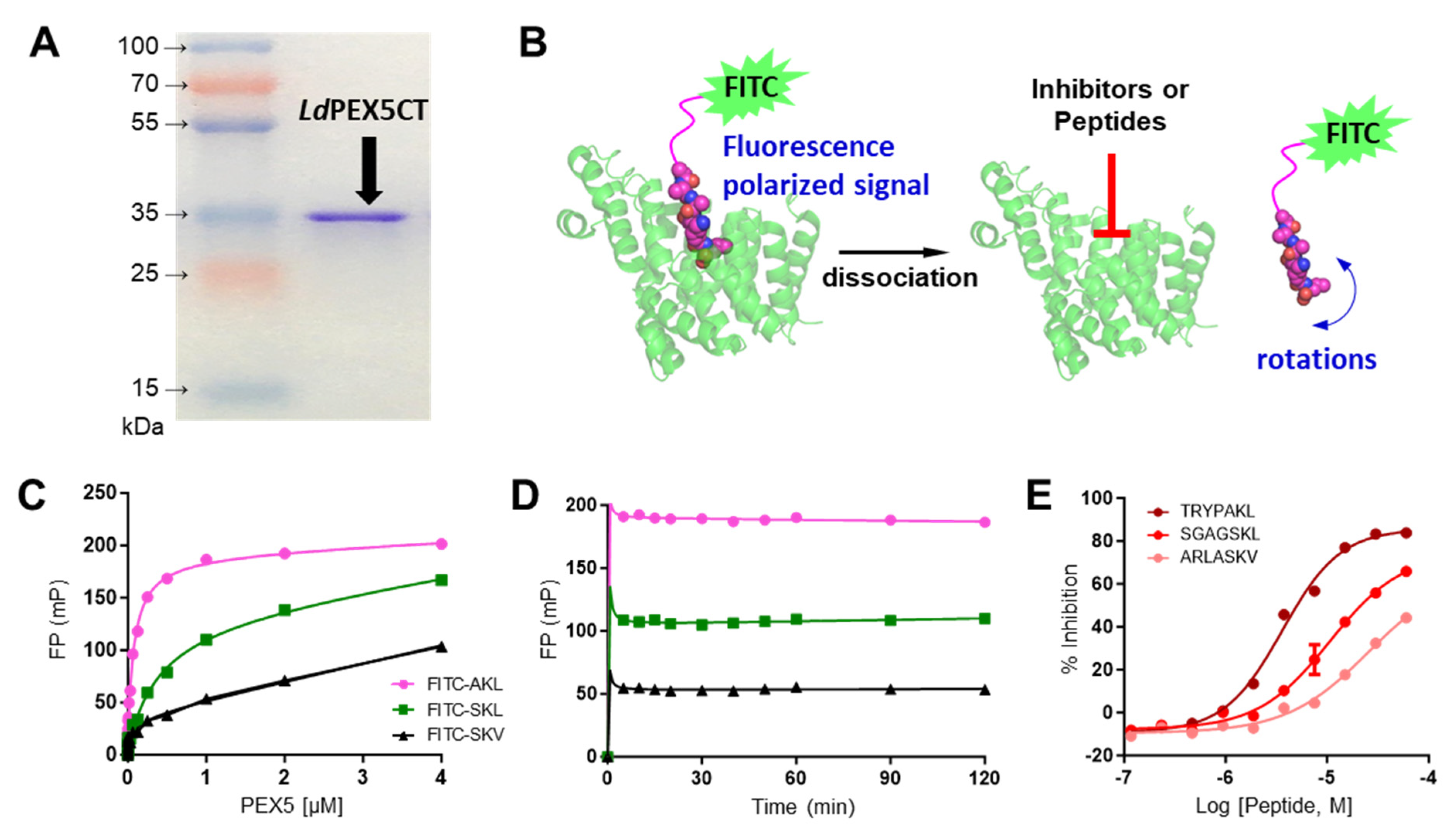 Molecules 29 01835 g001