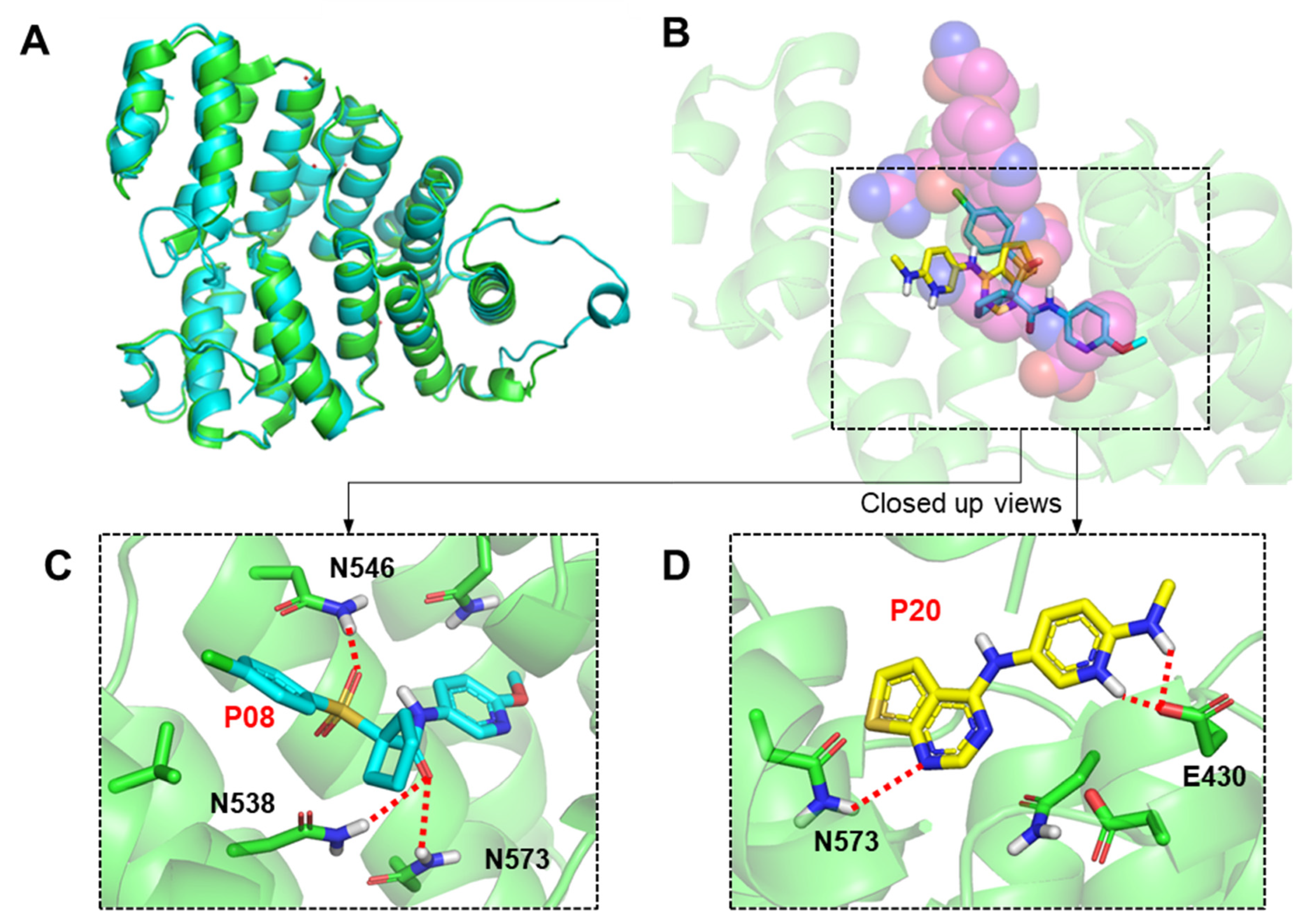Molecules 29 01835 g005