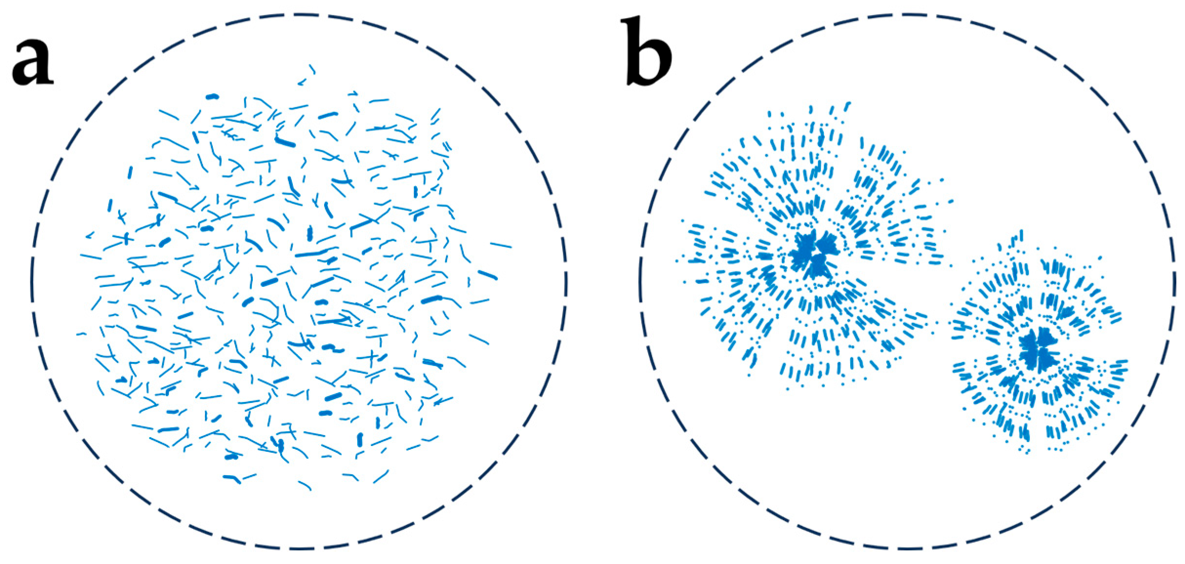 Molecules 29 01847 g002 Molecules 29 01847 g002