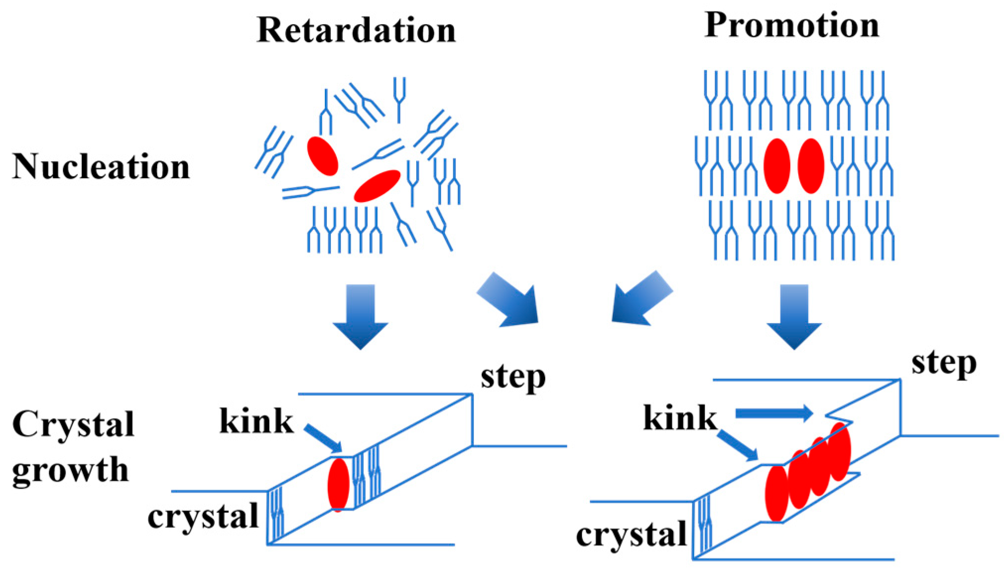 Molecules 29 01847 g003 Molecules 29 01847 g003