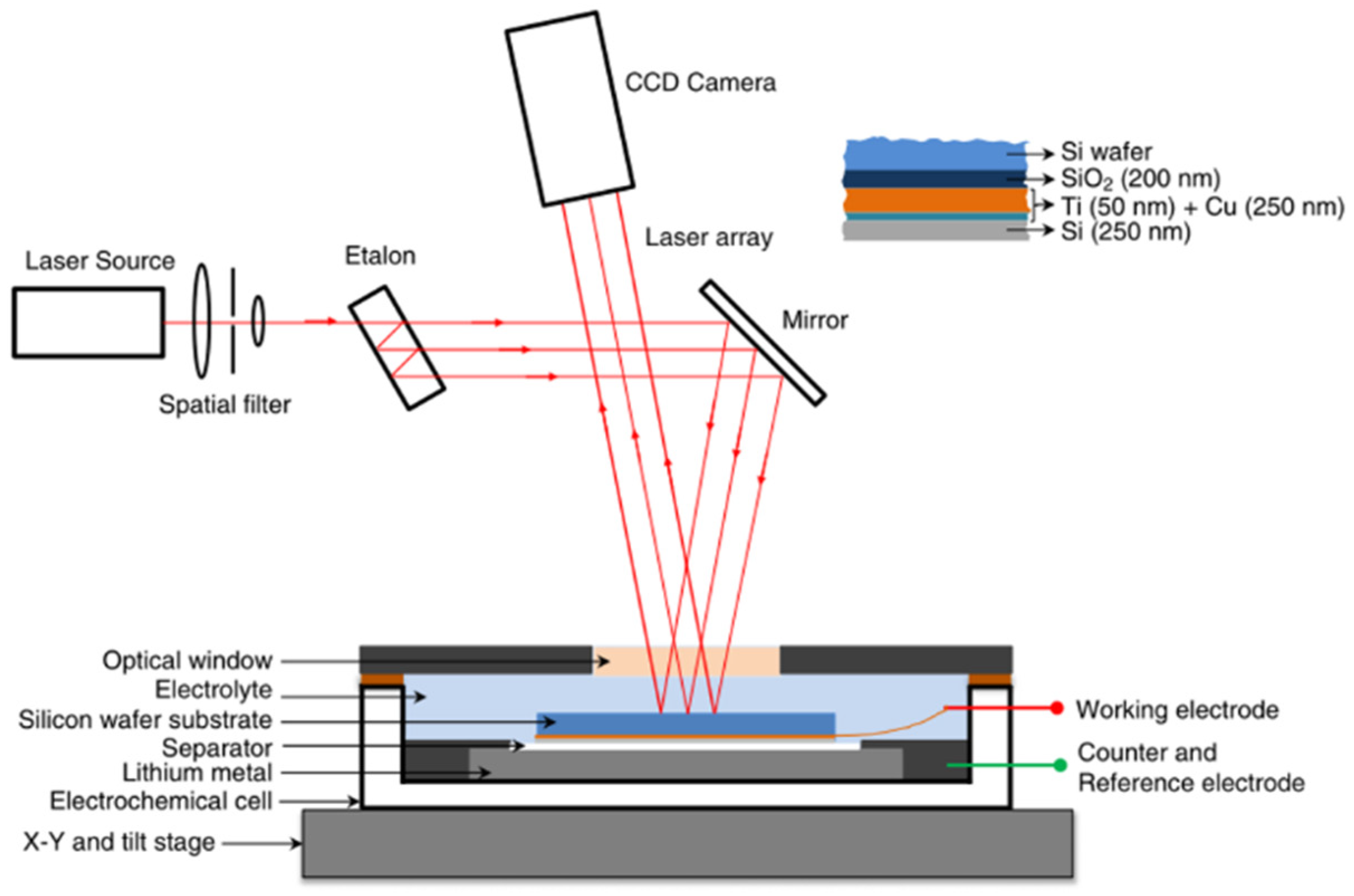 Molecules 29 01873 g001