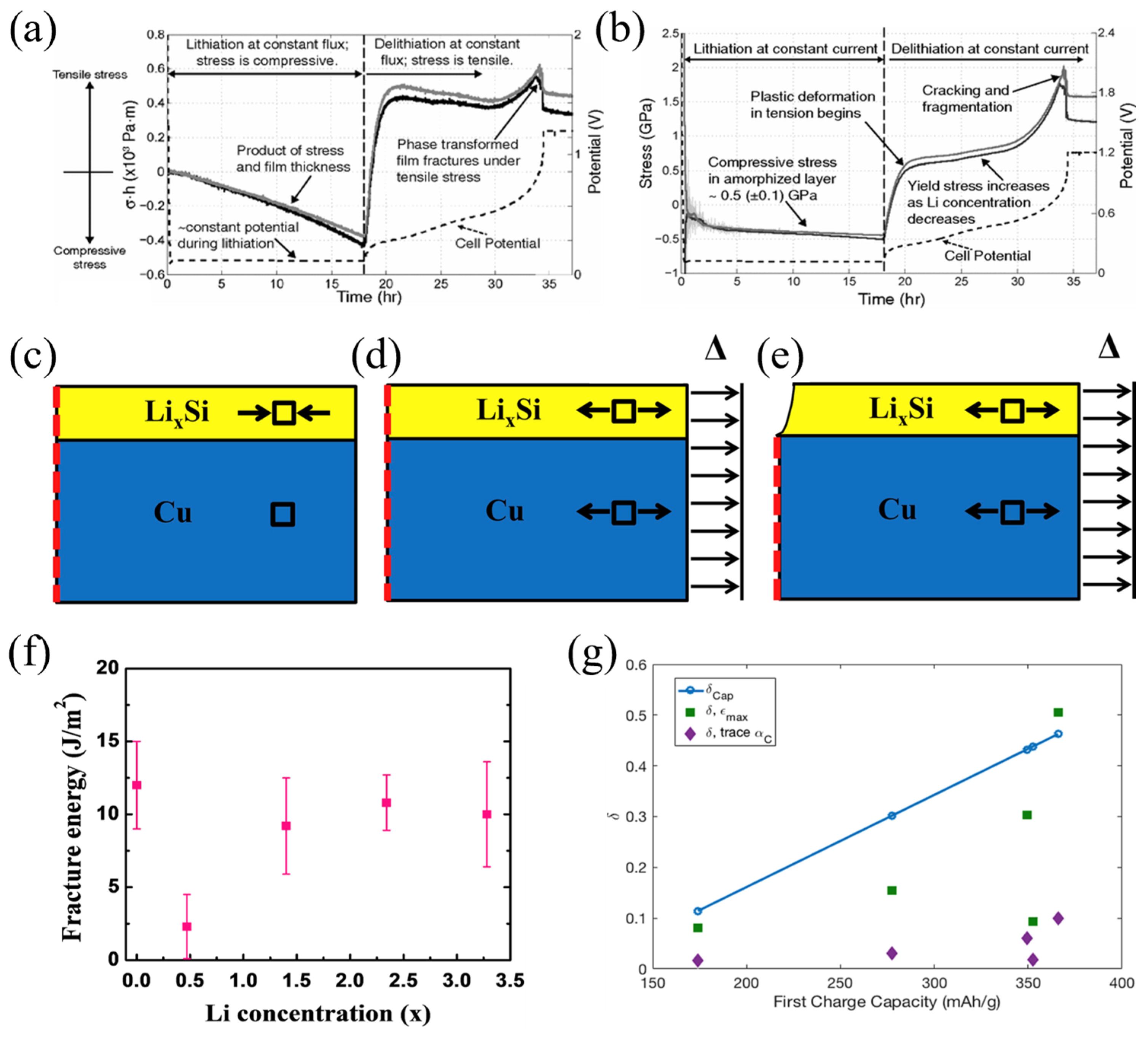 Molecules 29 01873 g003