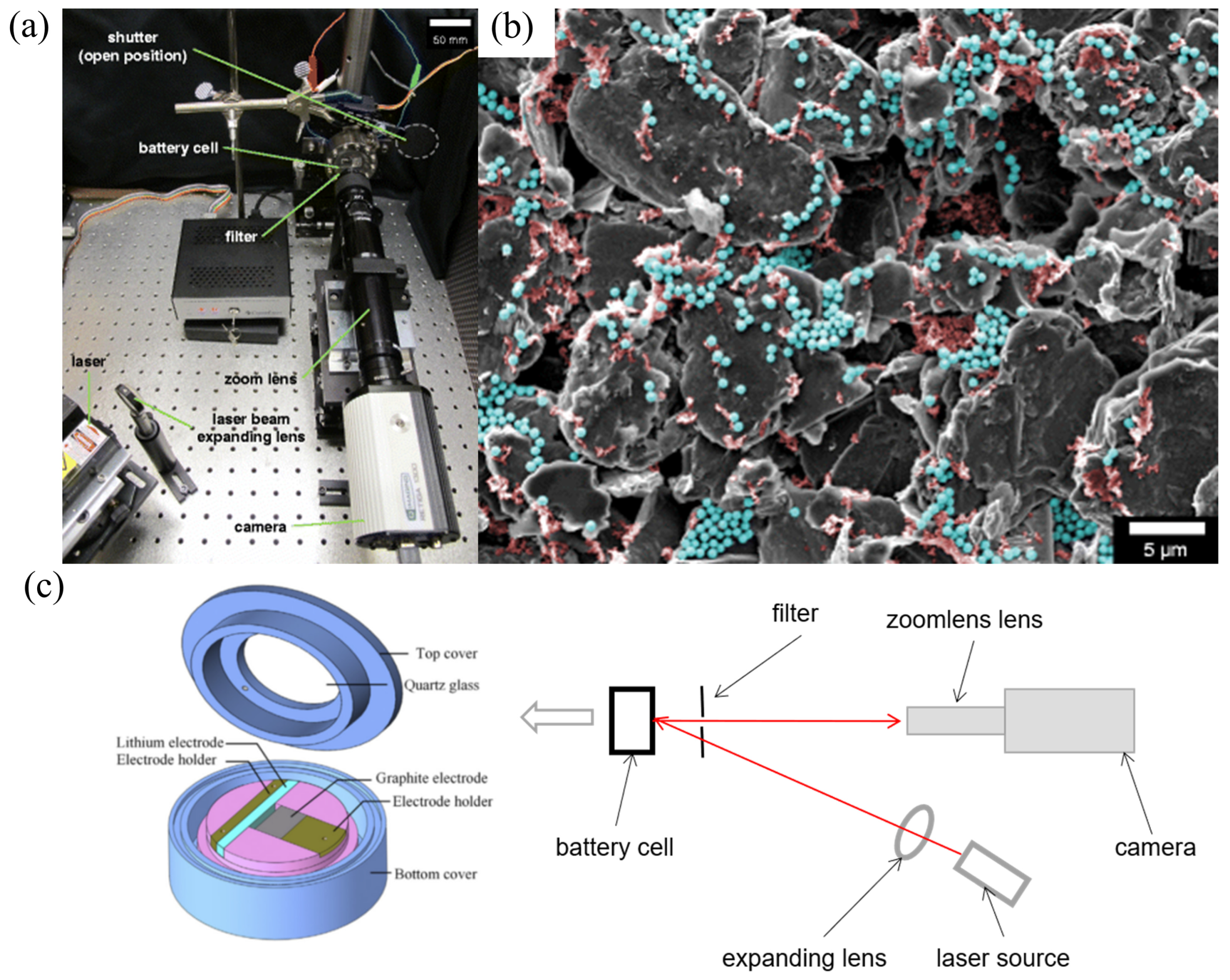 Molecules 29 01873 g004