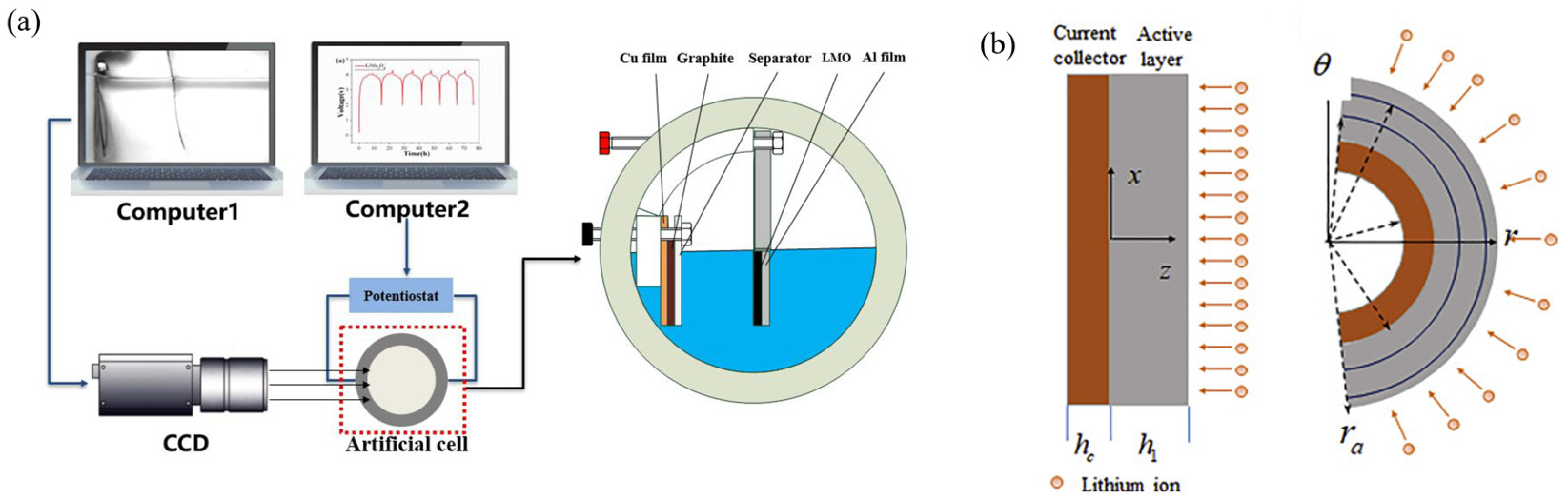 Molecules 29 01873 g007