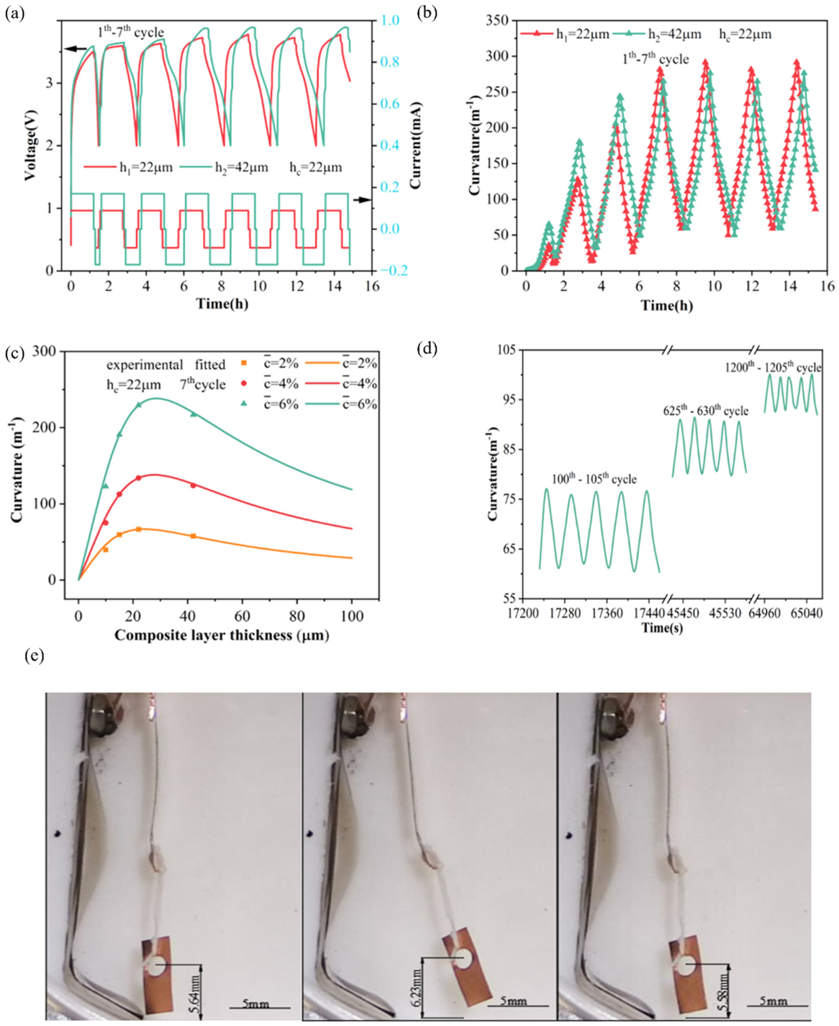 Molecules 29 01873 g012