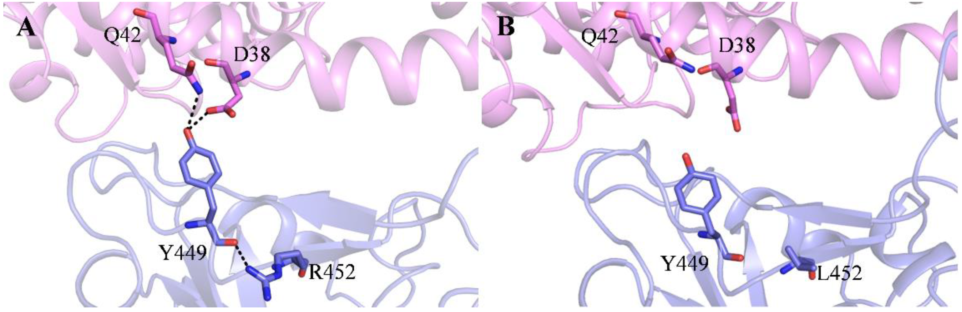 Molecules 29 01875 g005