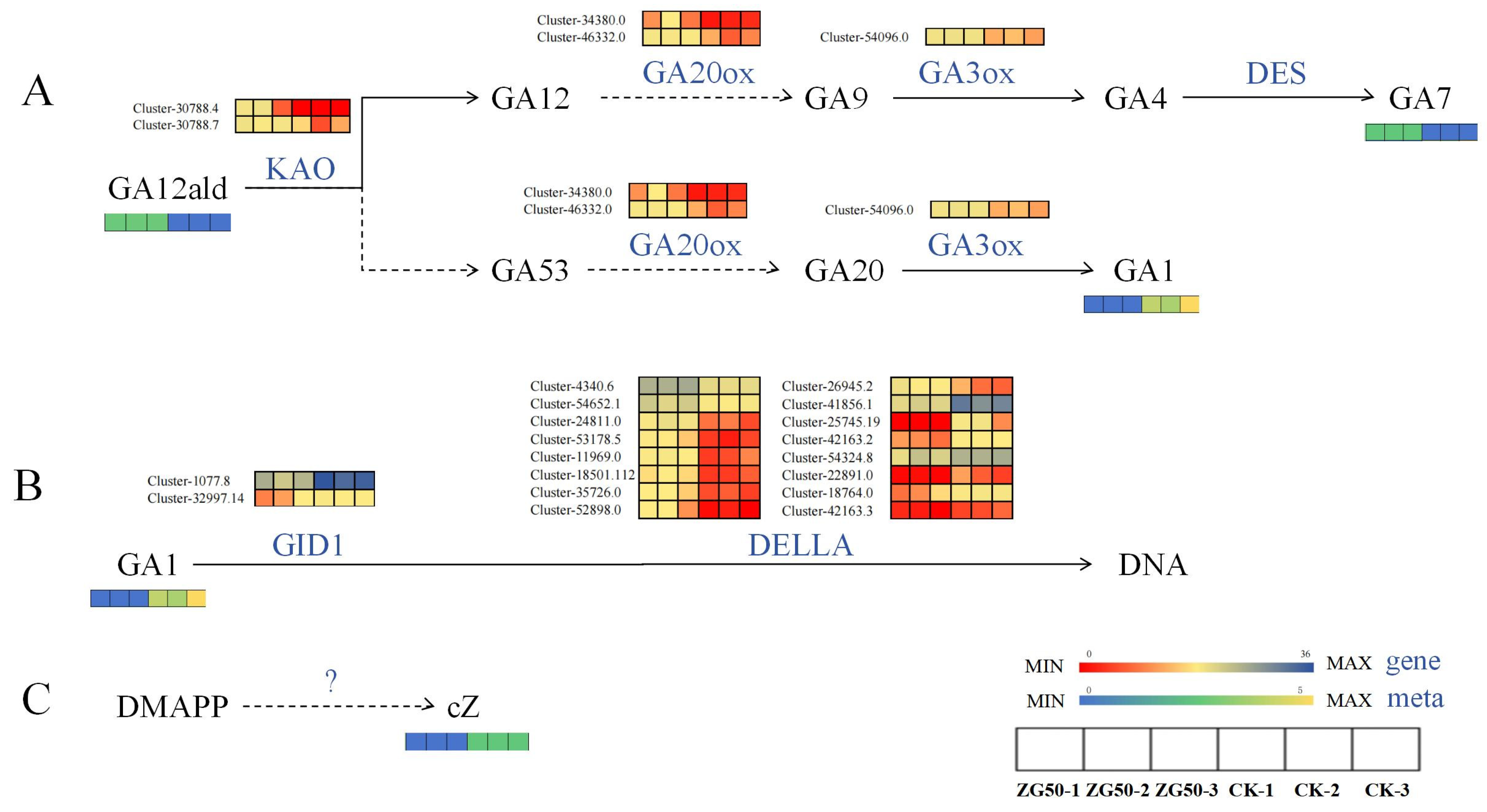 Molecules 29 01877 g008