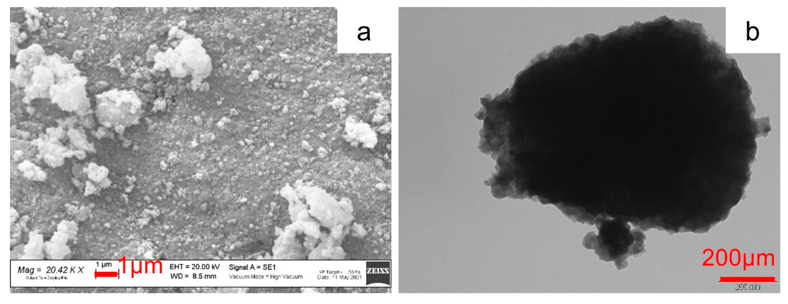 Molecules 29 01885 g004